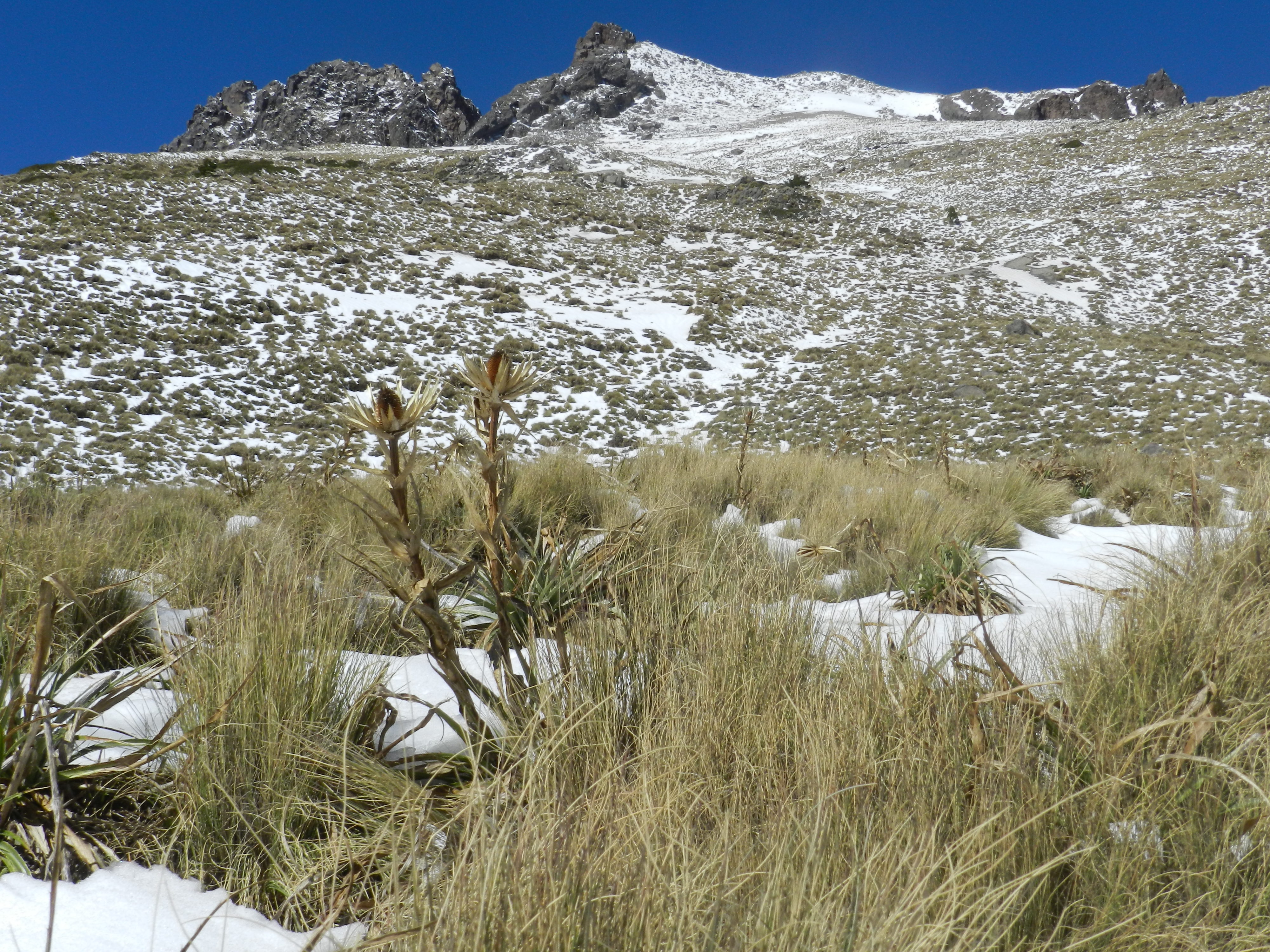 La montaña Malinche o Matlalcuéyatl