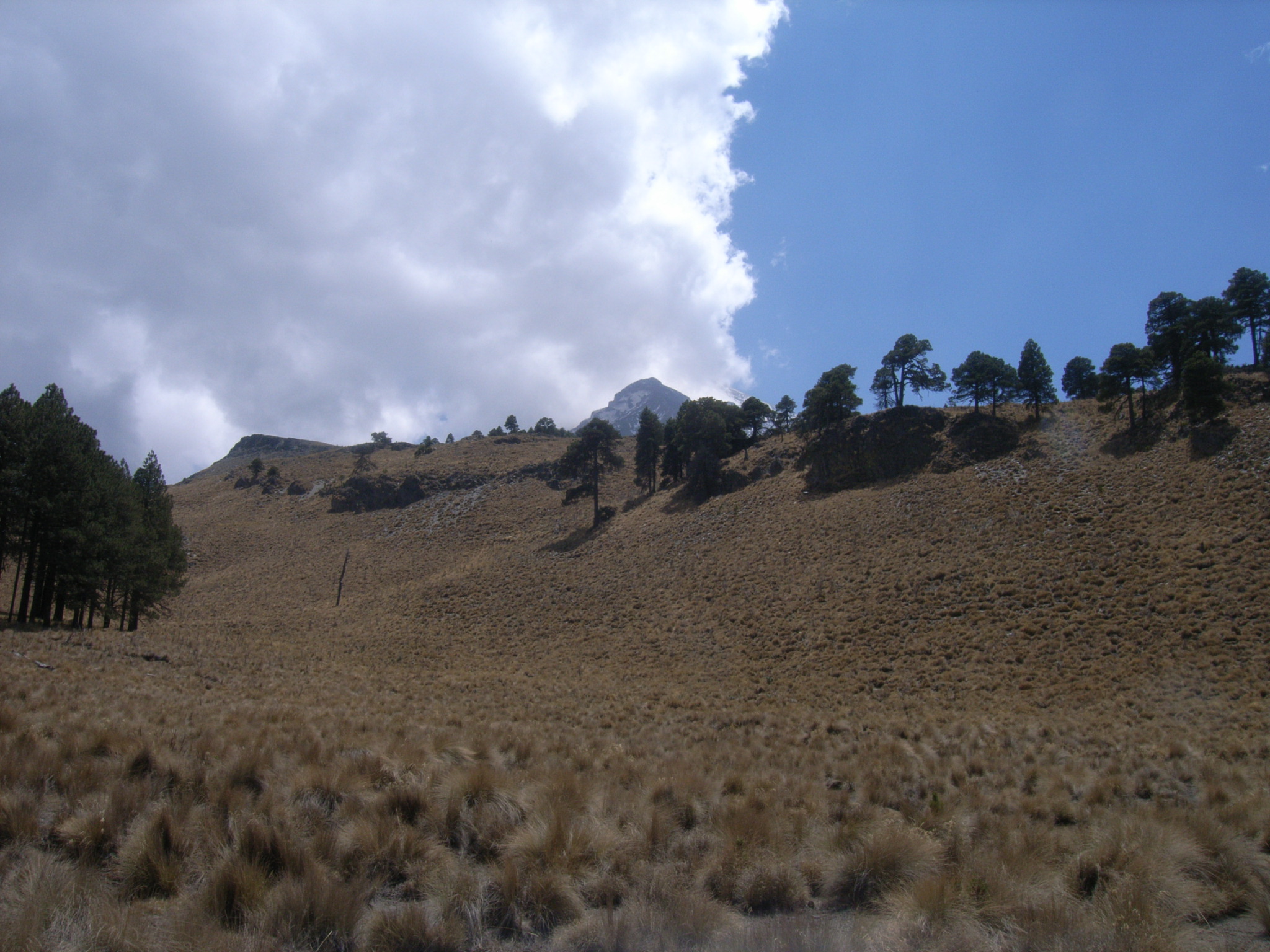 Pico de Orizaba