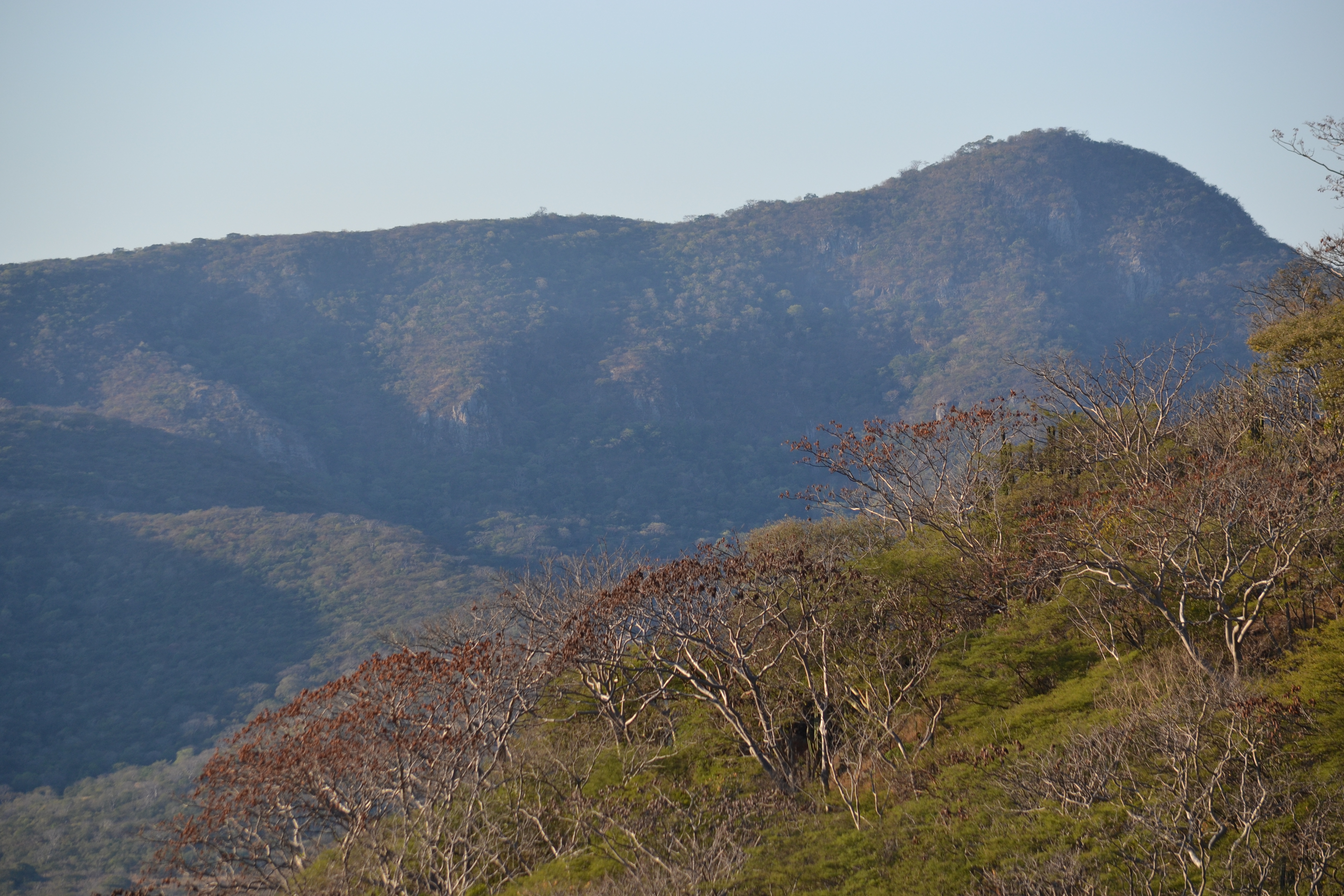 Sierra de Huautla
