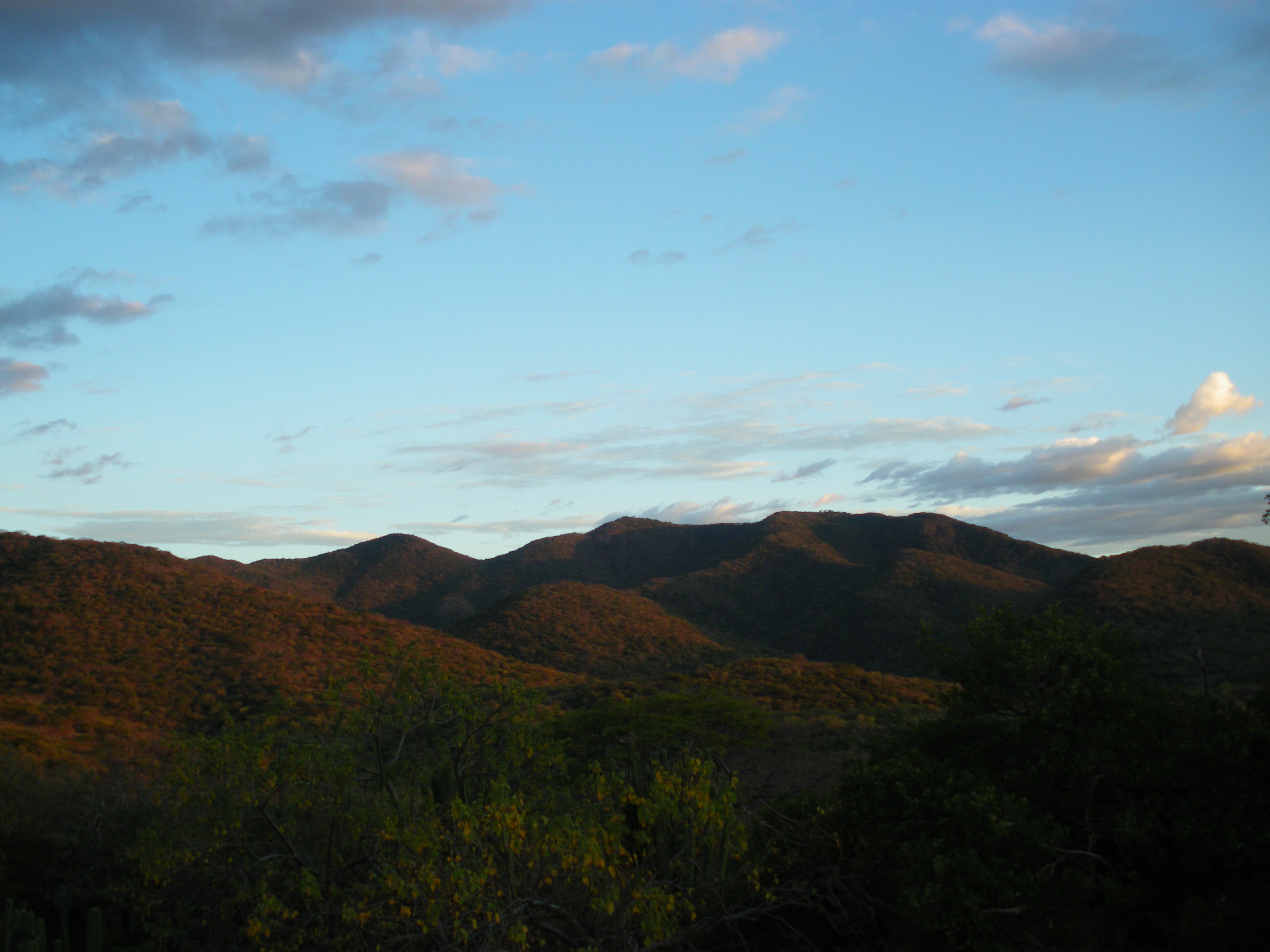 Sierra de Huautla