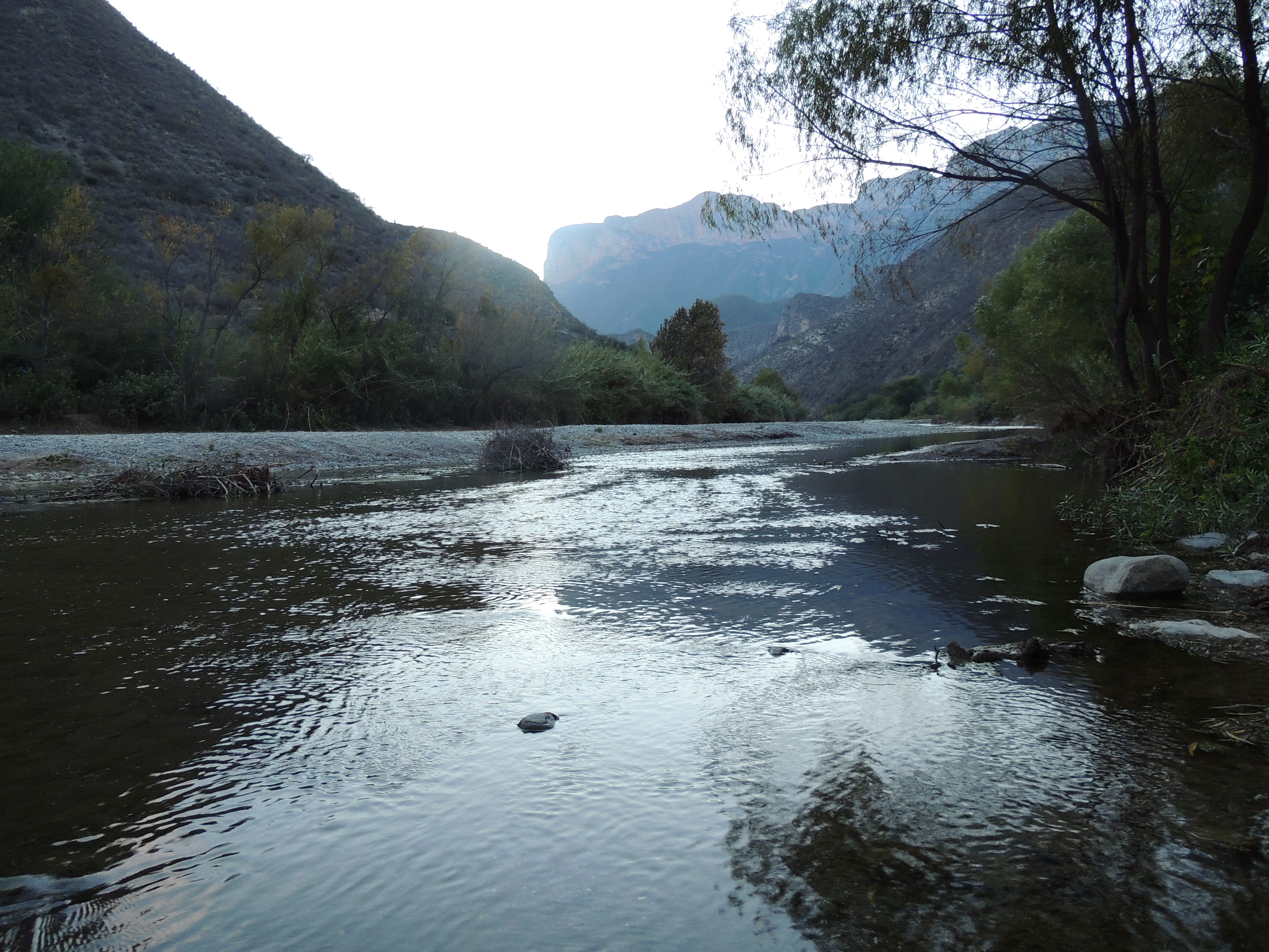 Sierra Gorda