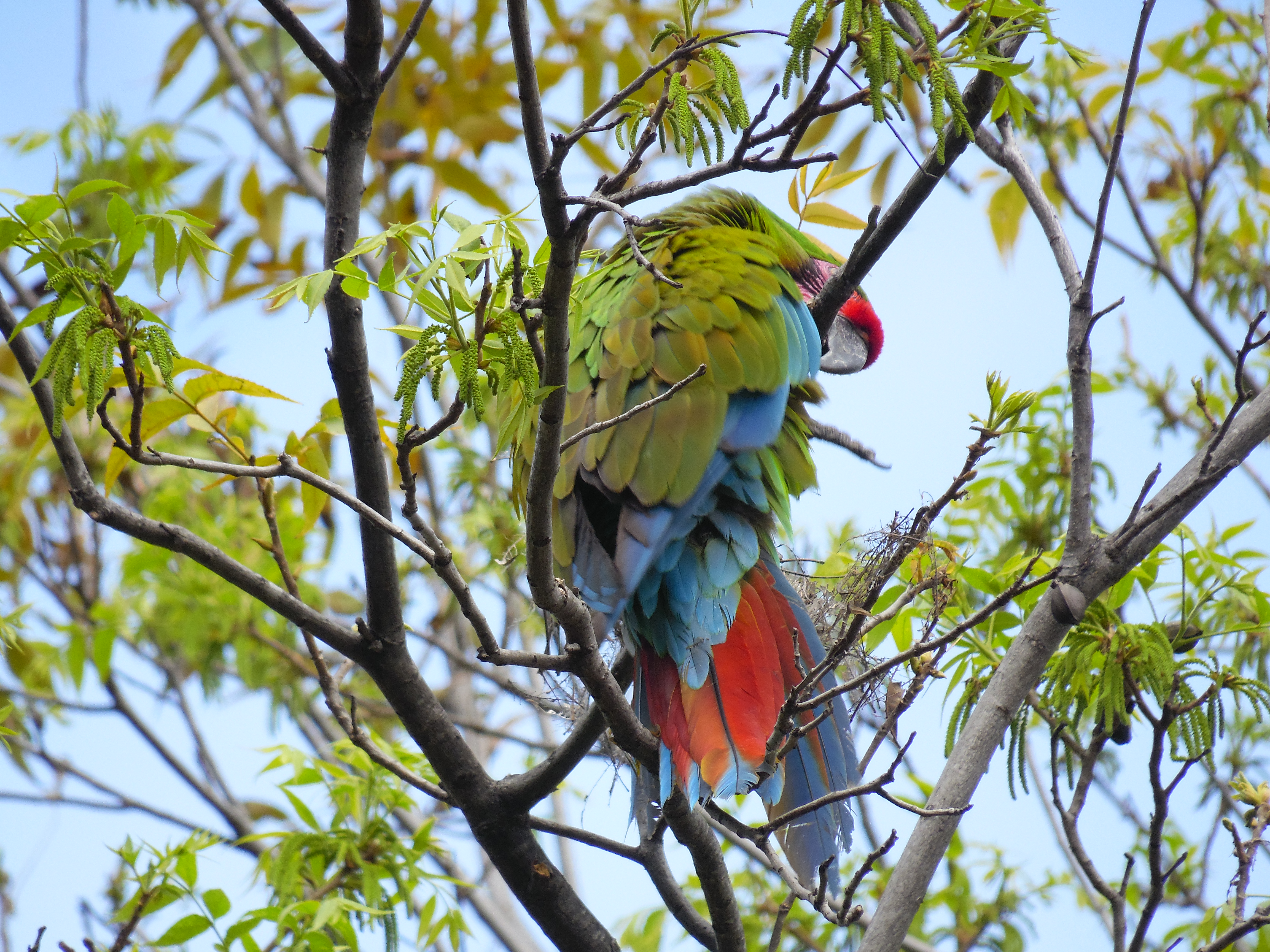 Sierra Gorda de Guanajuato