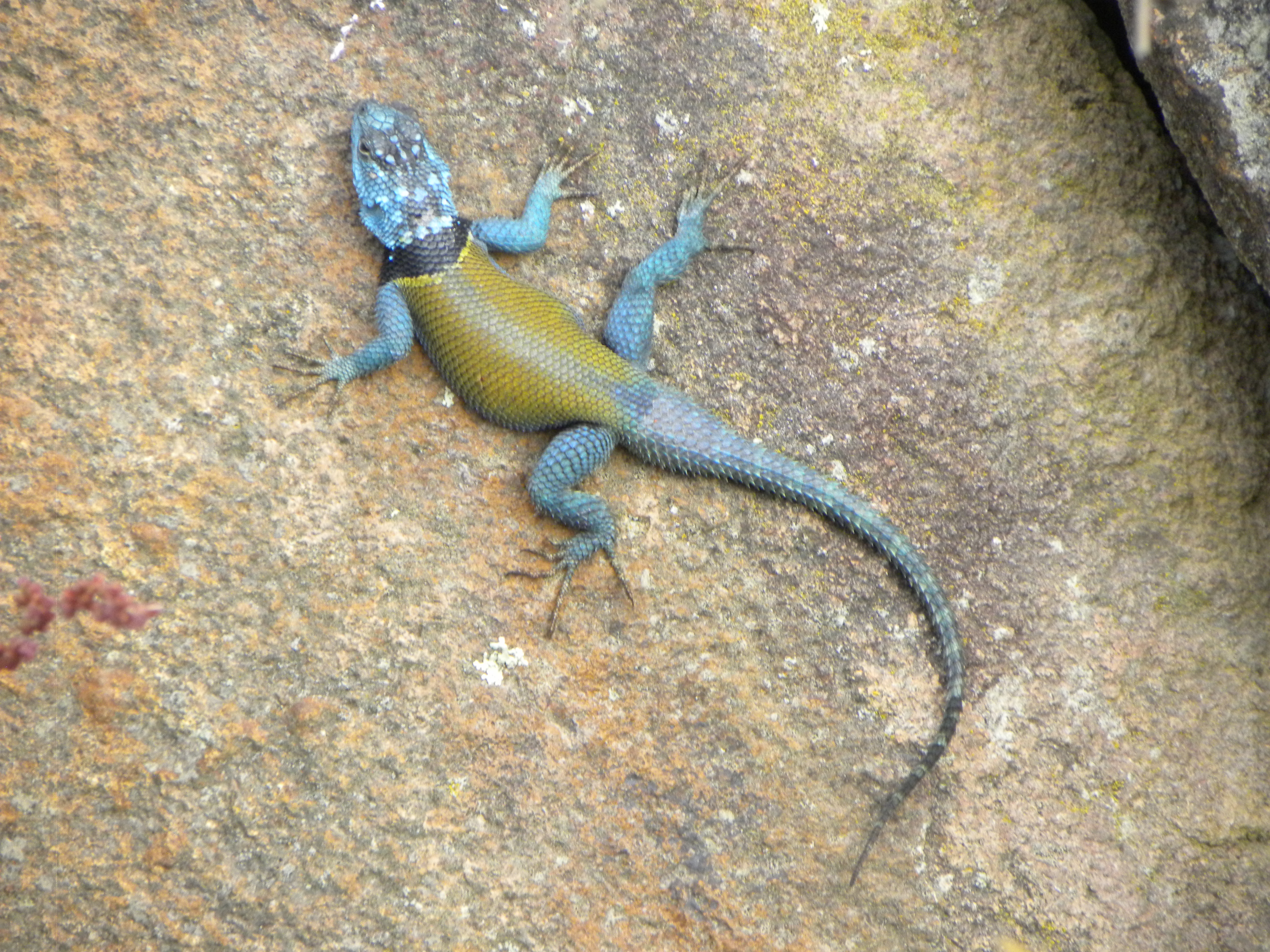 Sierra Gorda de Guanajuato