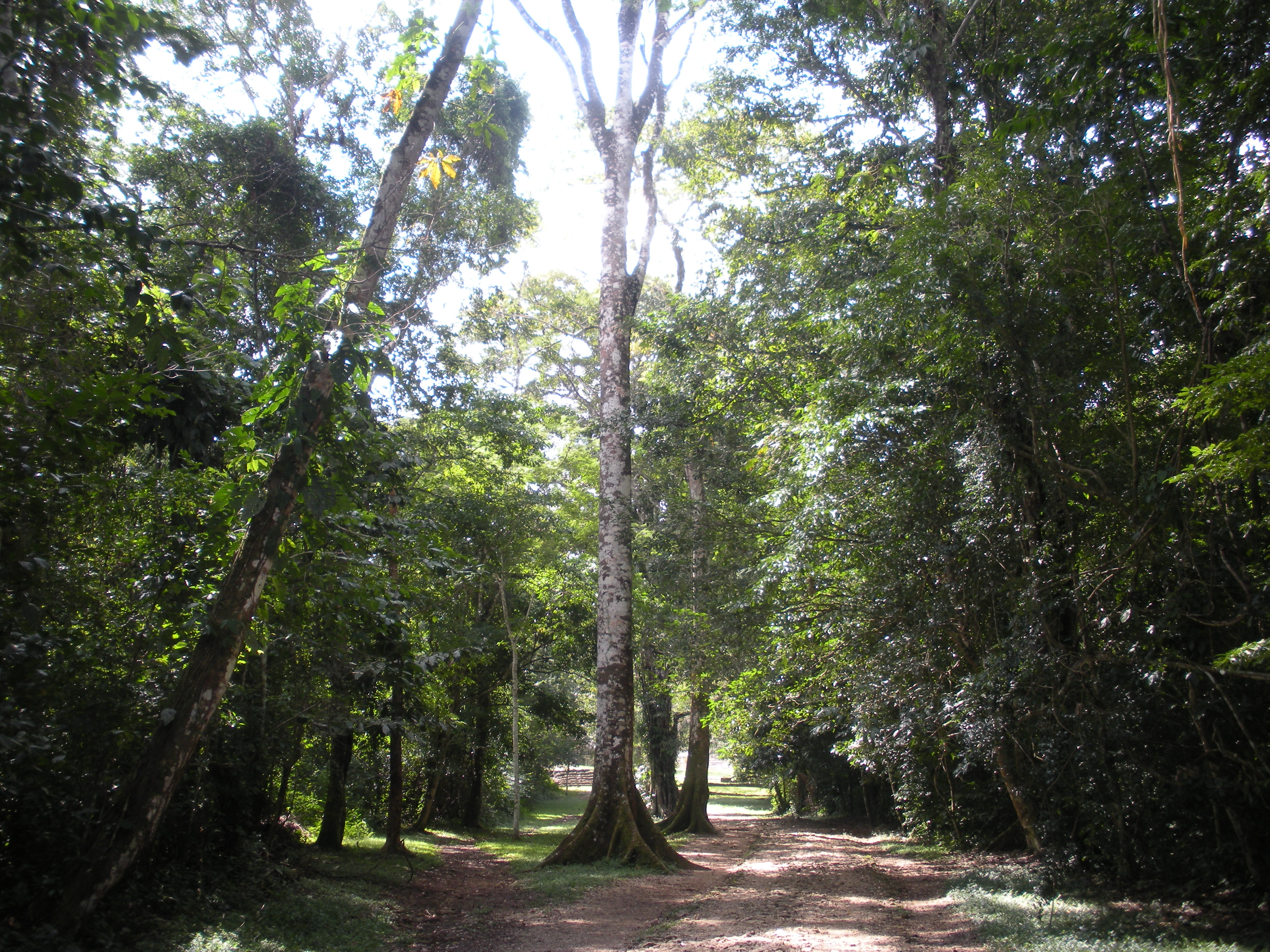 Bonampak