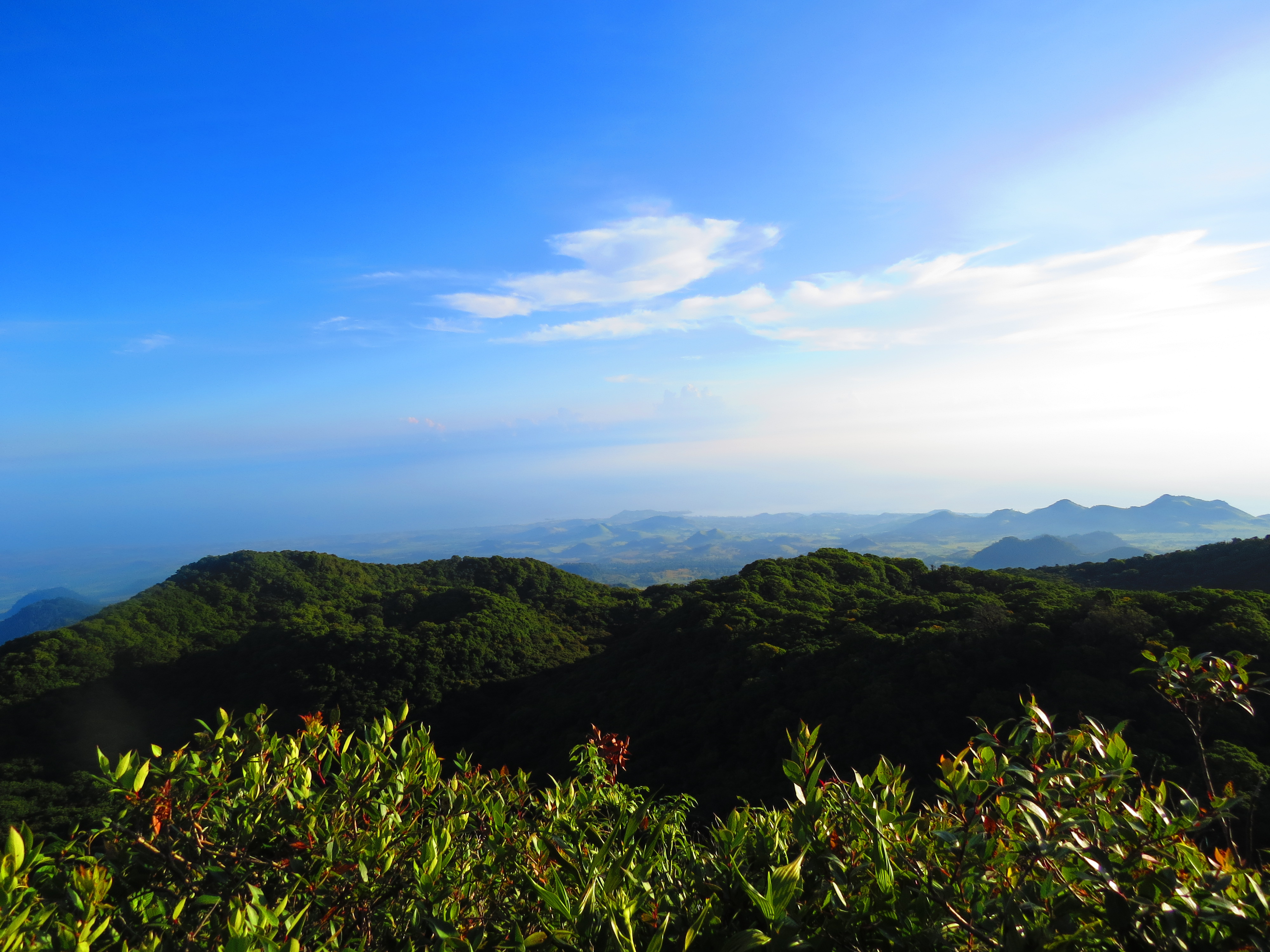 Los Tuxtlas