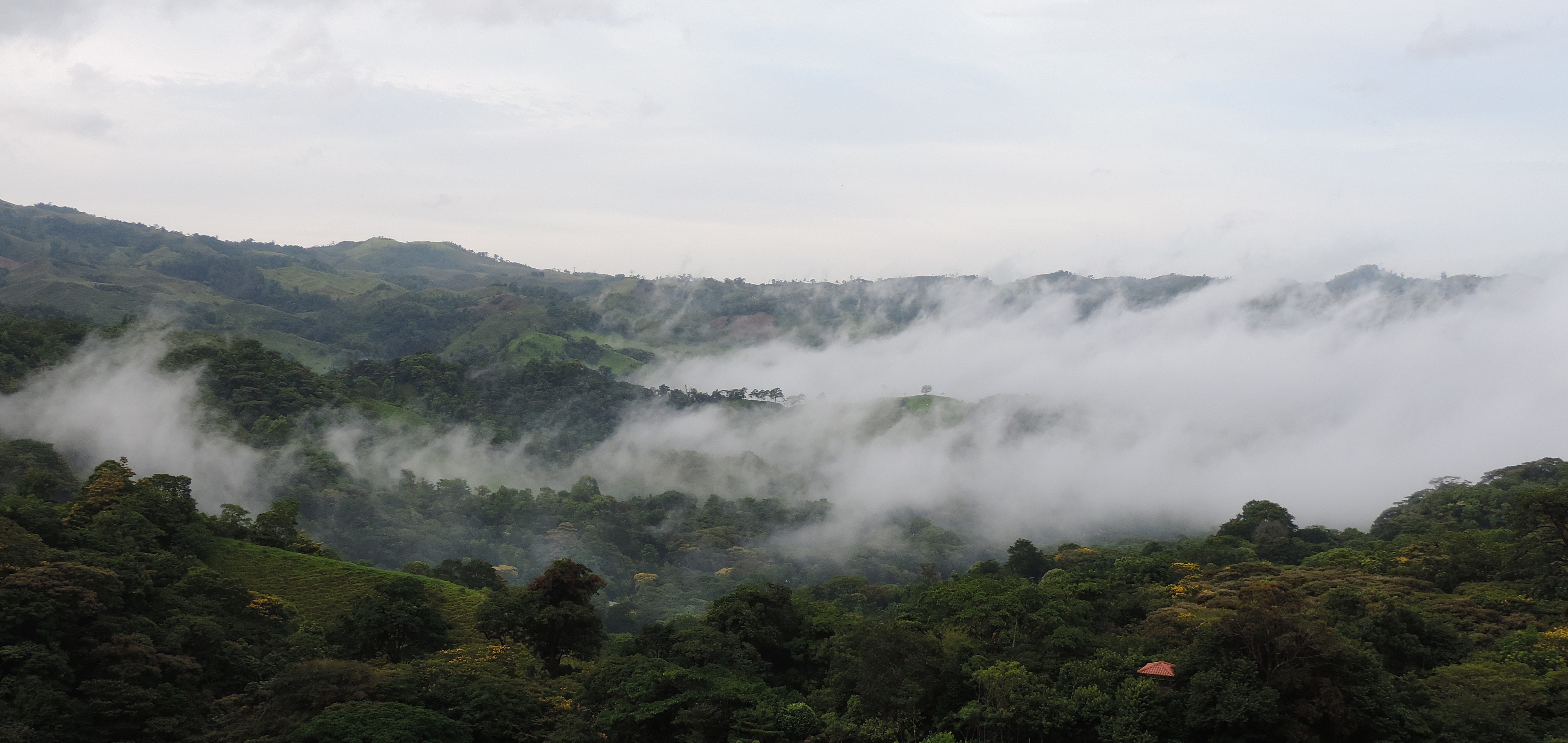 Los Tuxtlas
