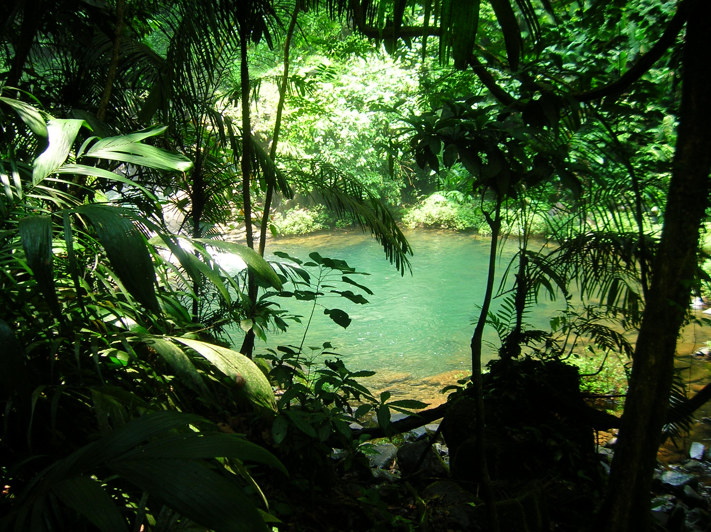 Los Tuxtlas