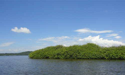 Lagunas de Chacahua