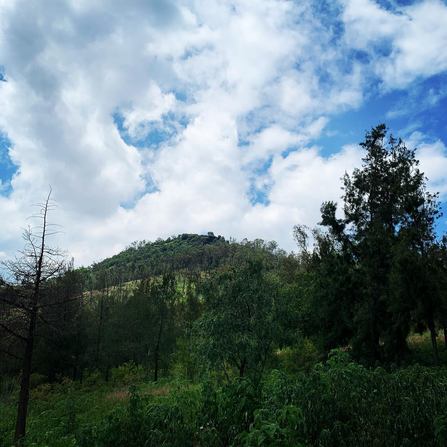 Cerro de la Estrella