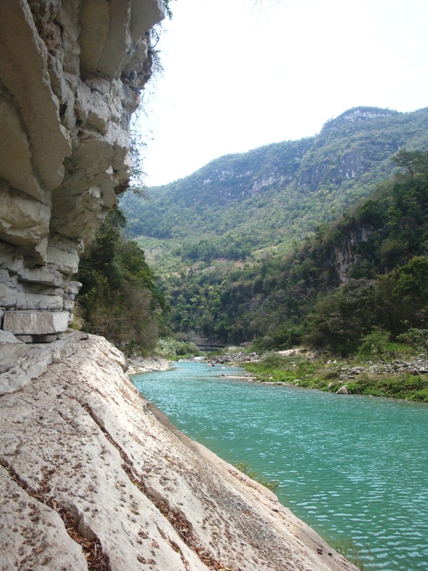 Selva El Ocote
