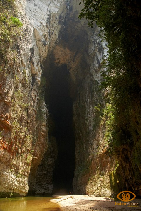 Selva El Ocote