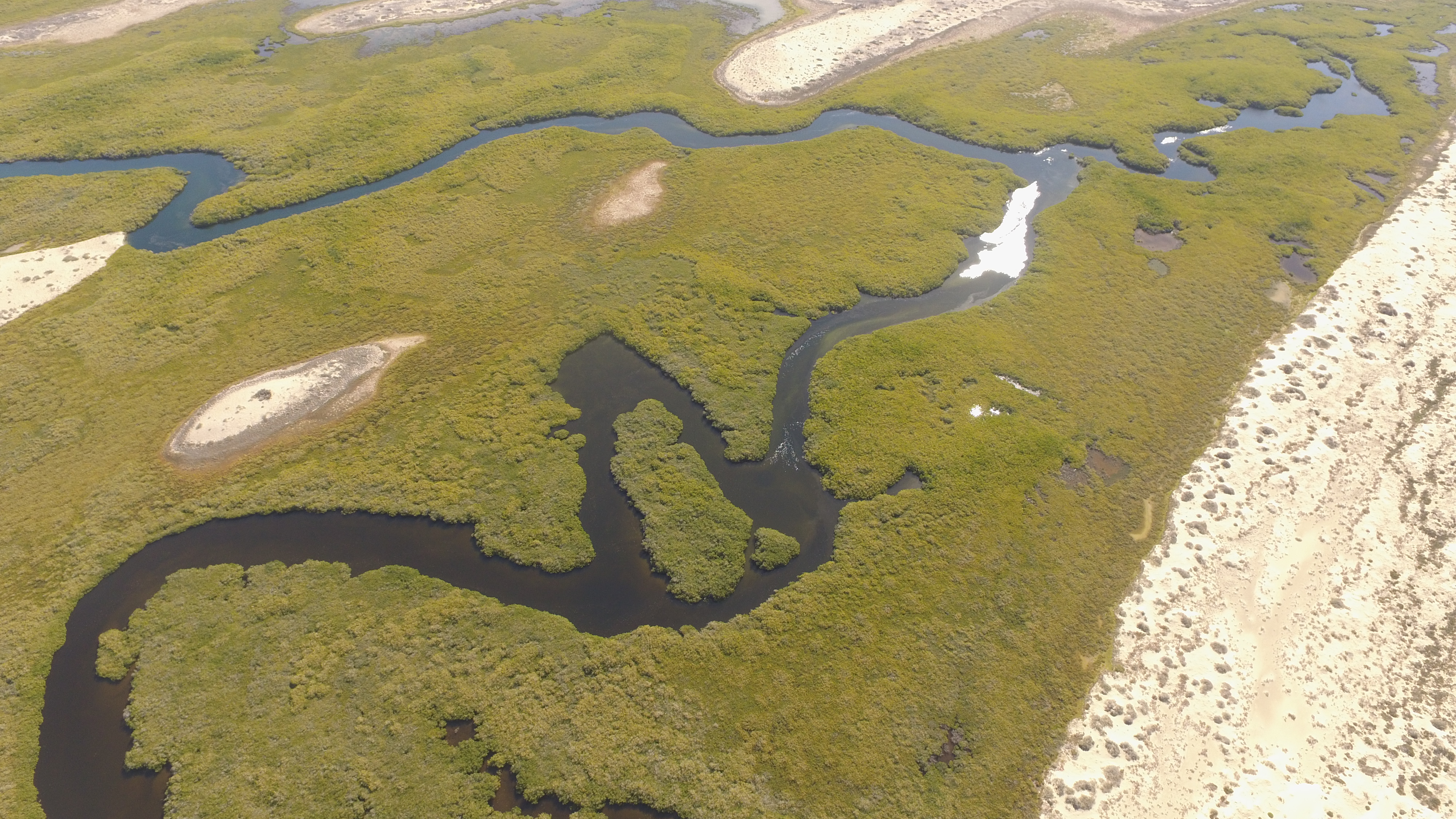 Islas del Pacífico de la Península de Baja California
