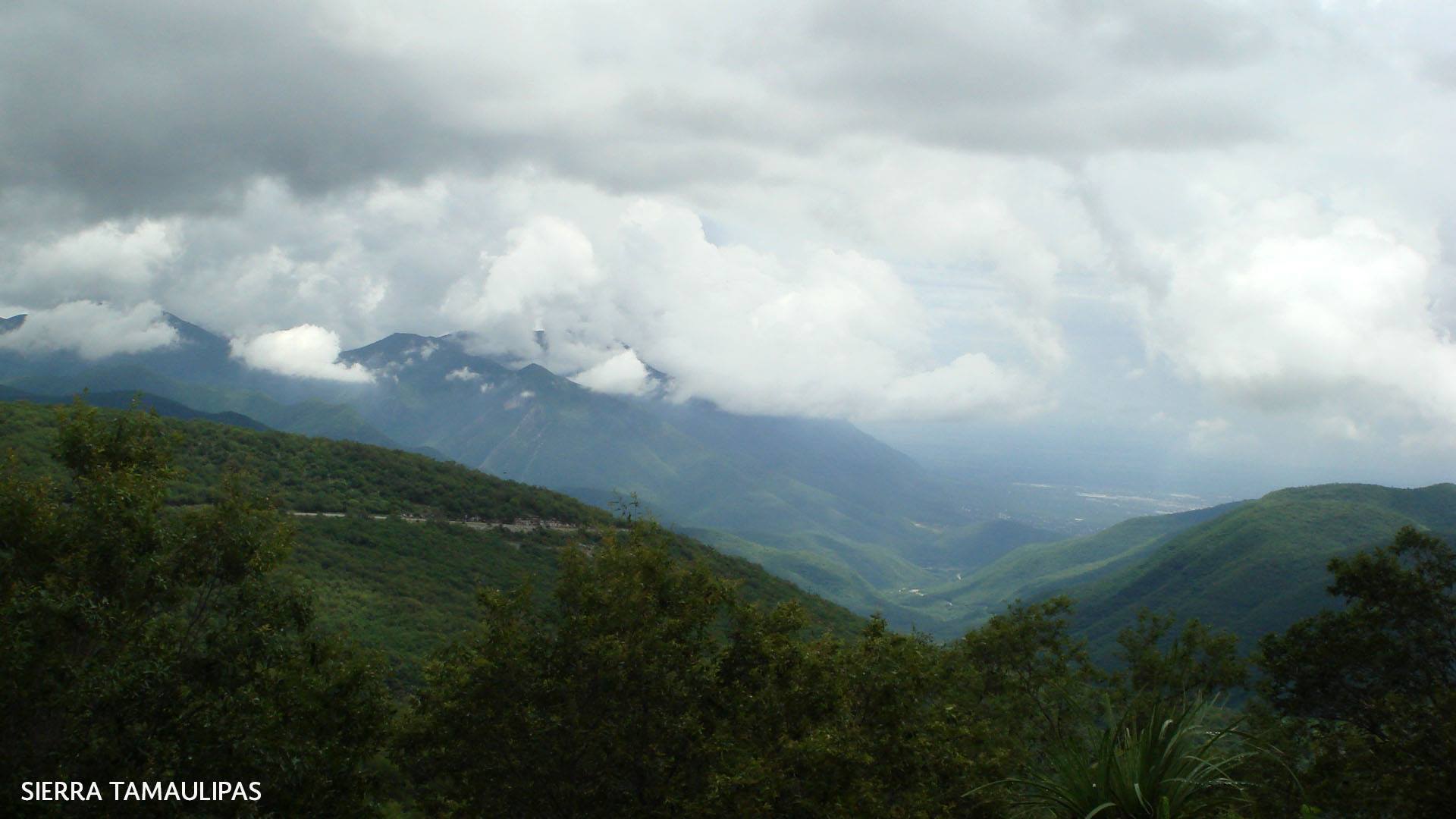 Sierra de Tamaulipas