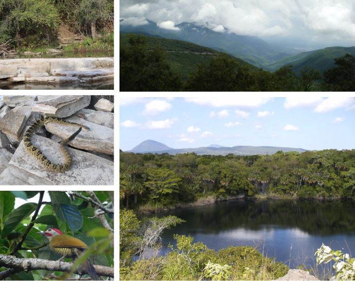 Sierra de Tamaulipas