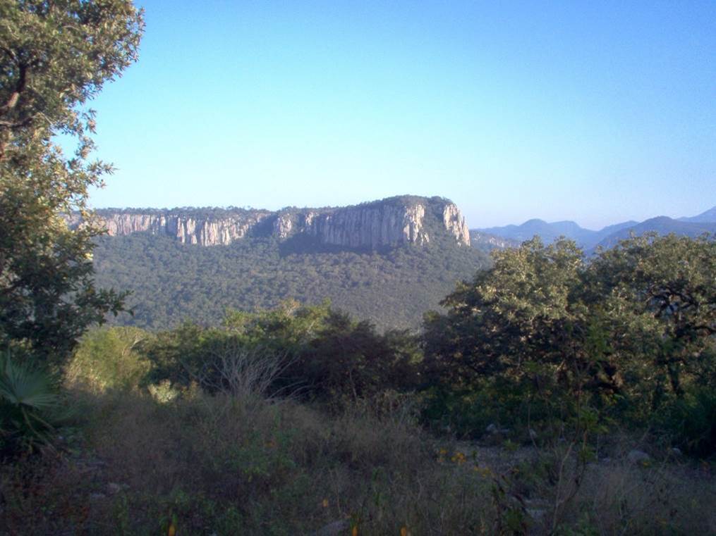 Sierra de Tamaulipas