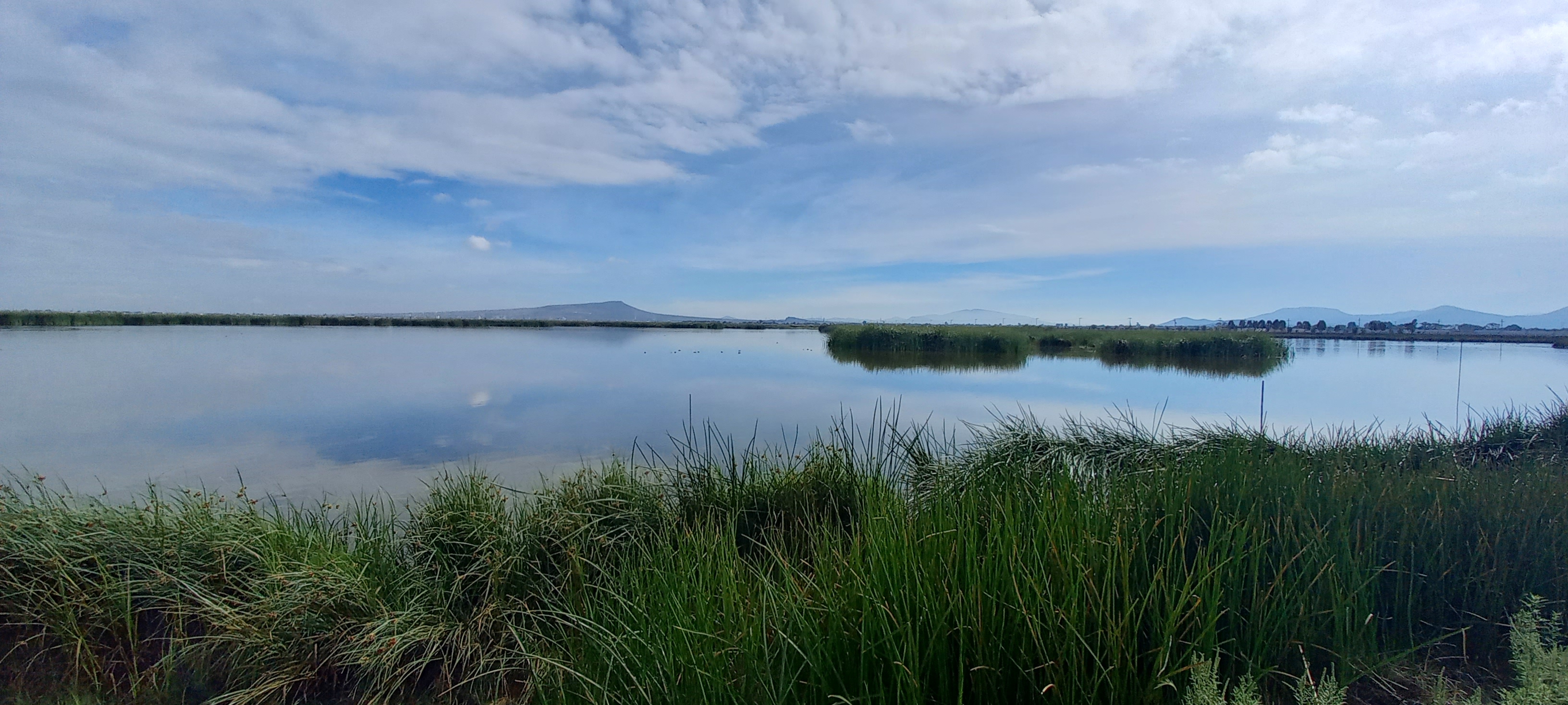 Lago de Texcoco