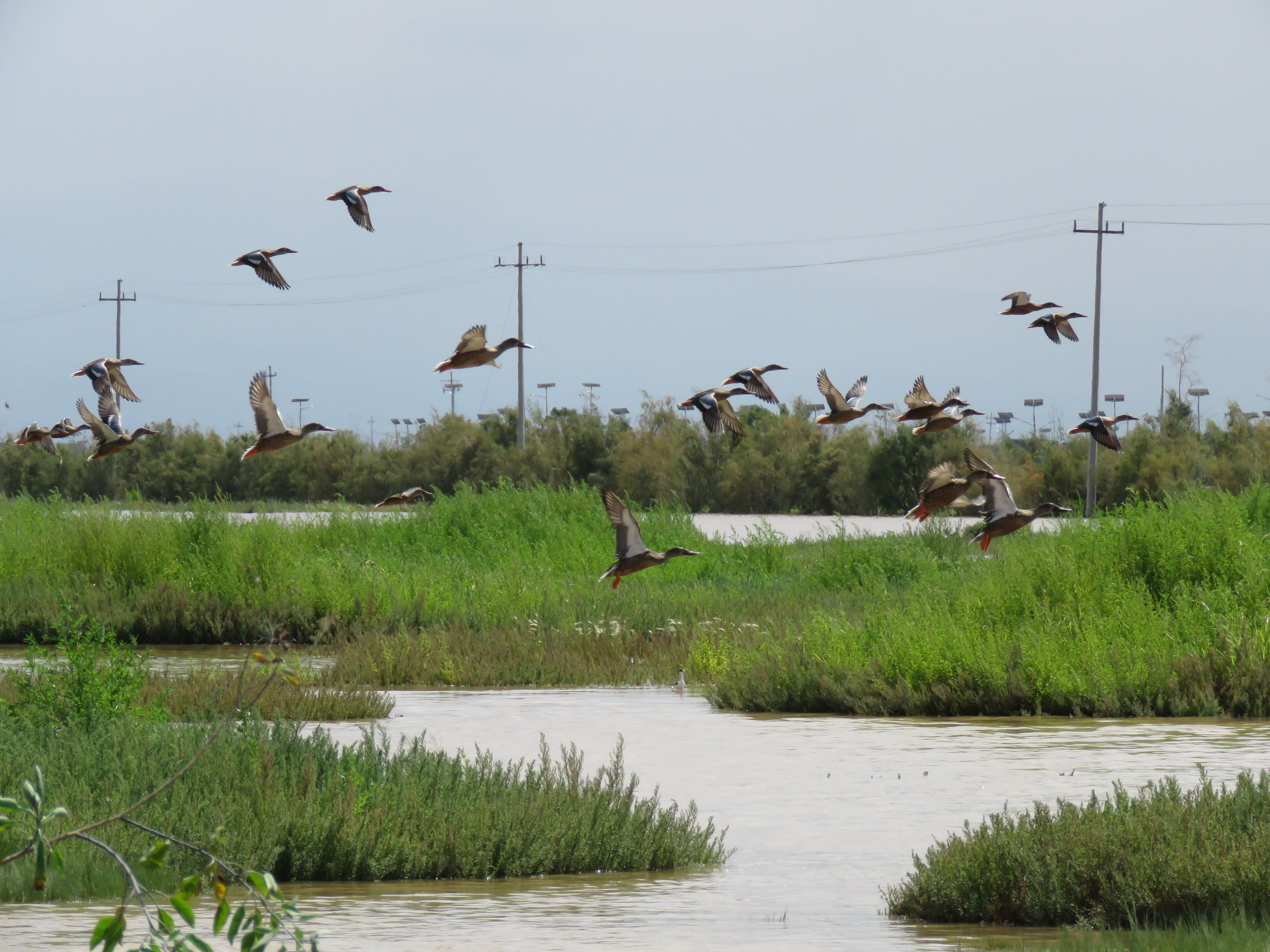 Lago de Texcoco