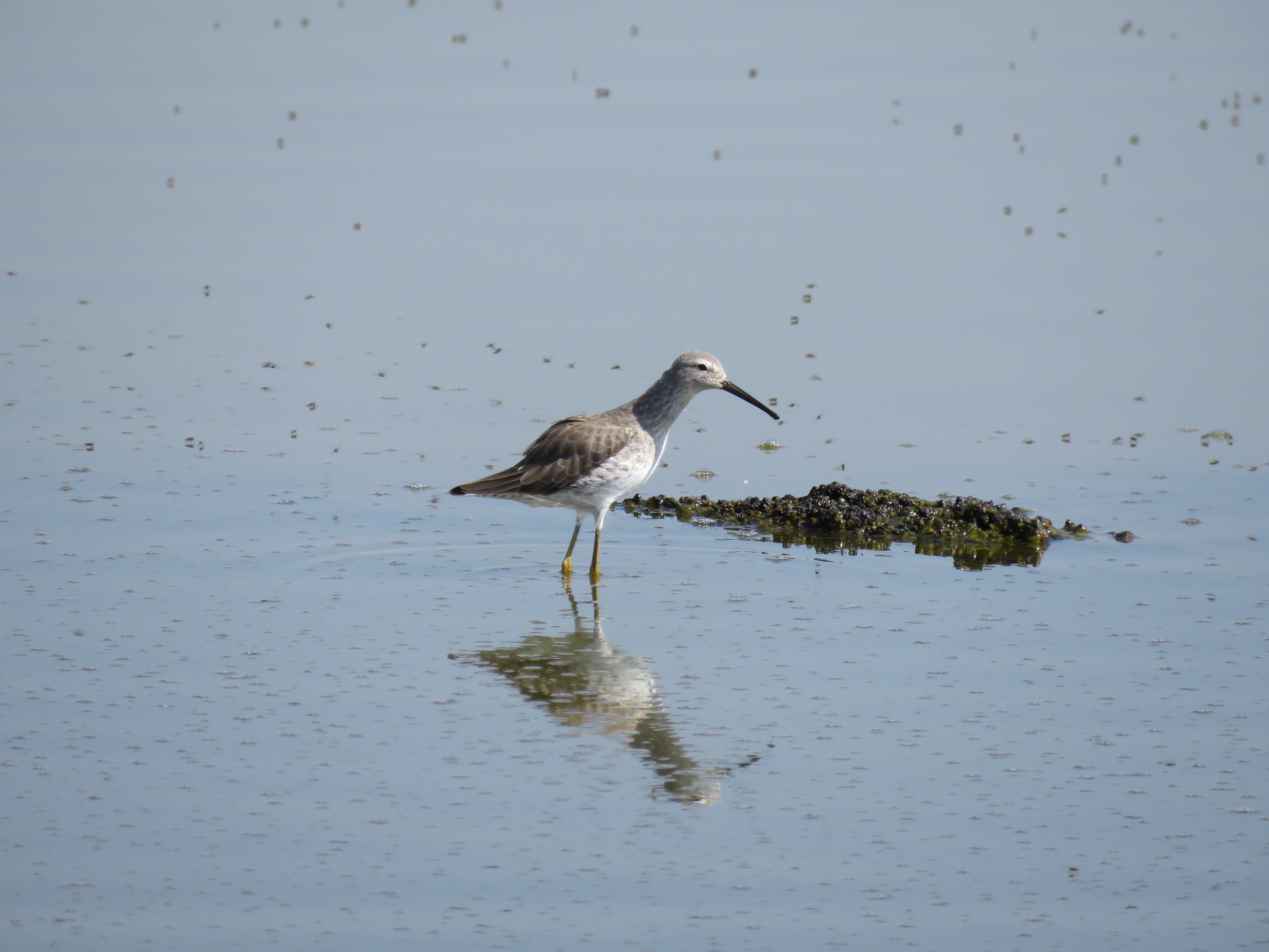 Lago de Texcoco