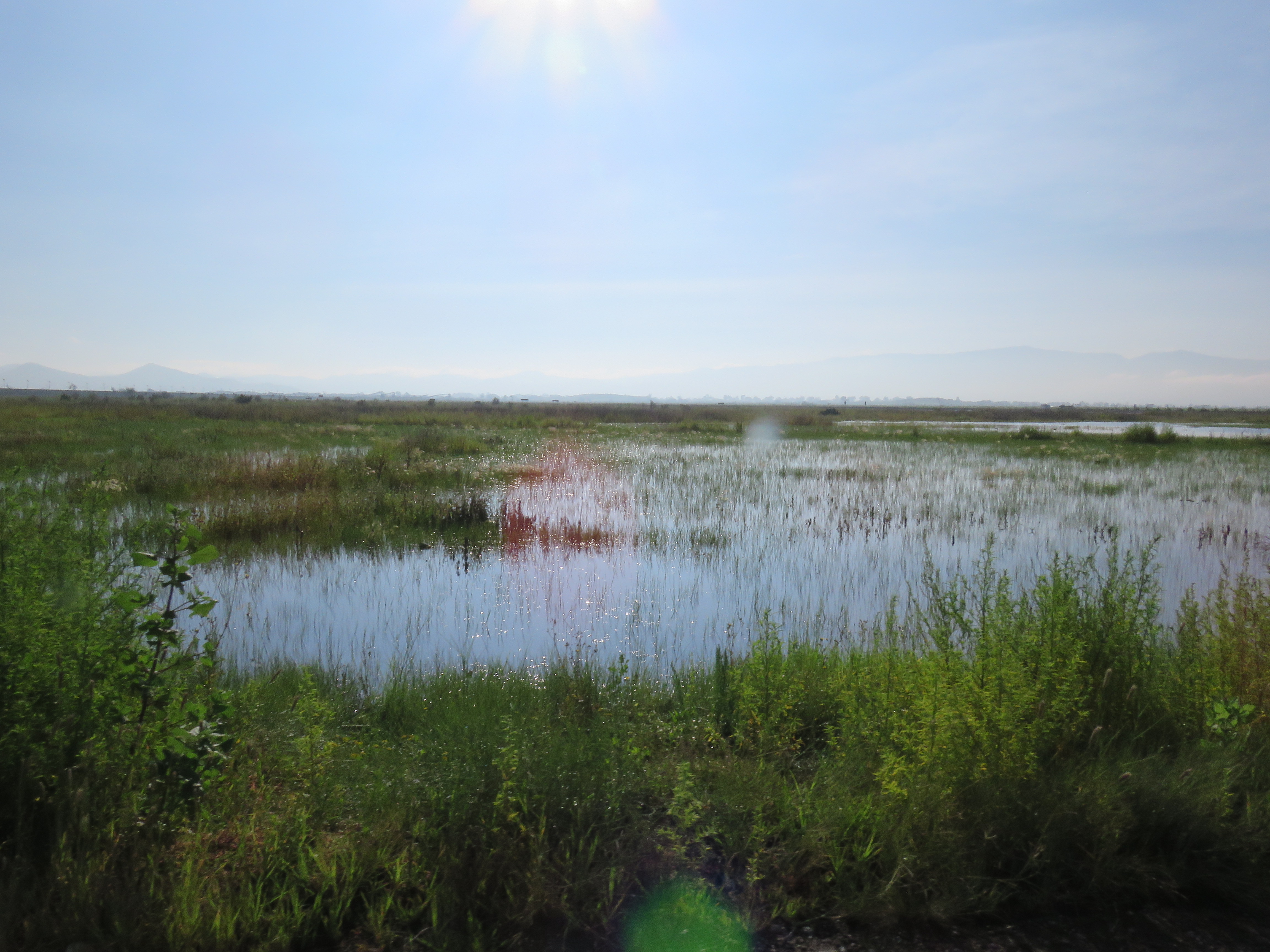 Lago de Texcoco