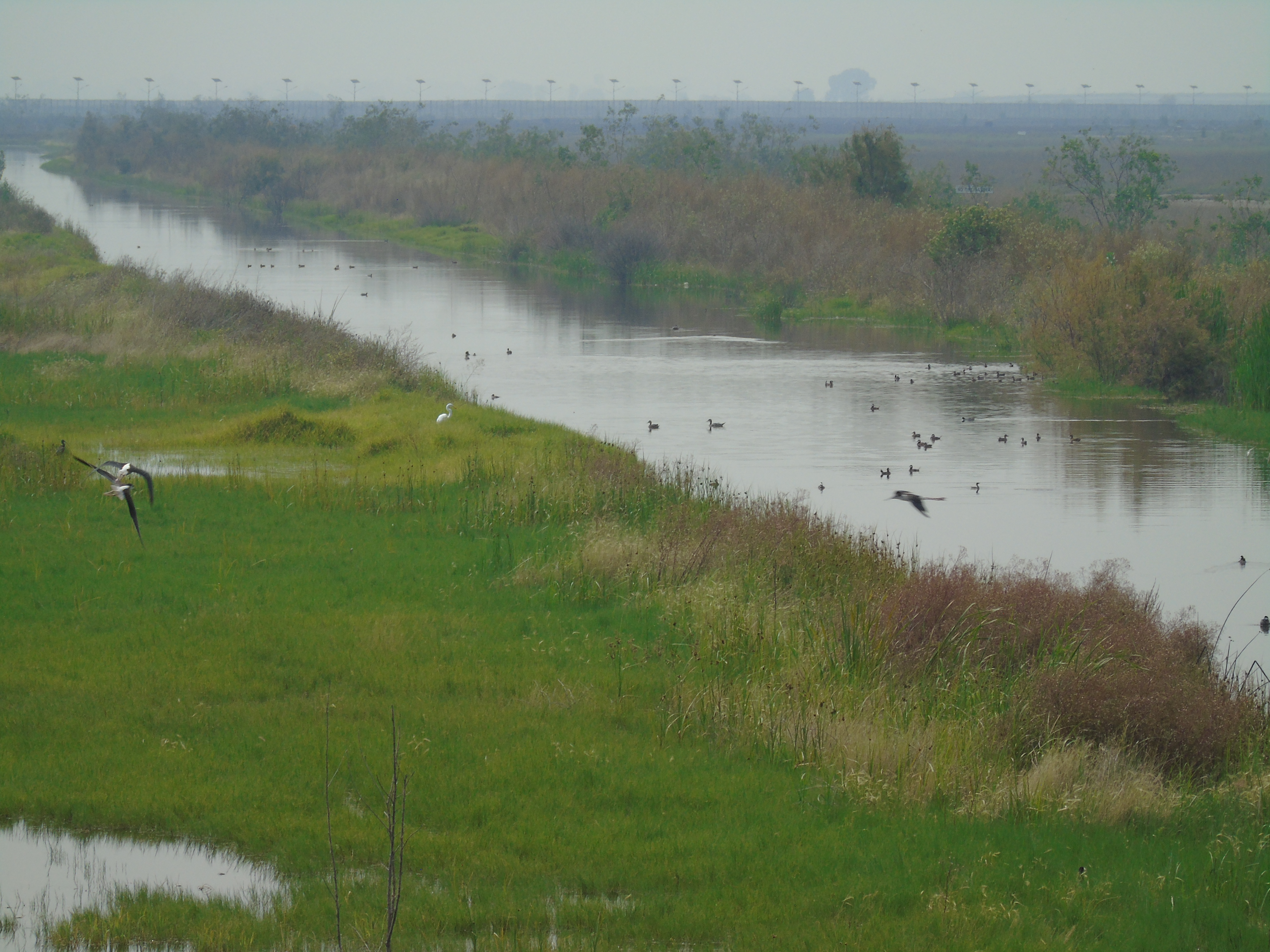 Lago de Texcoco