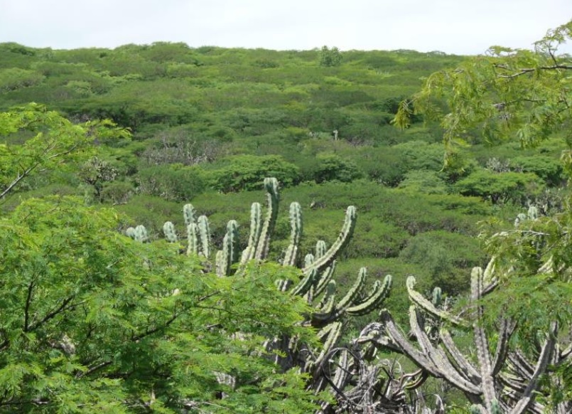 Peña Colorada