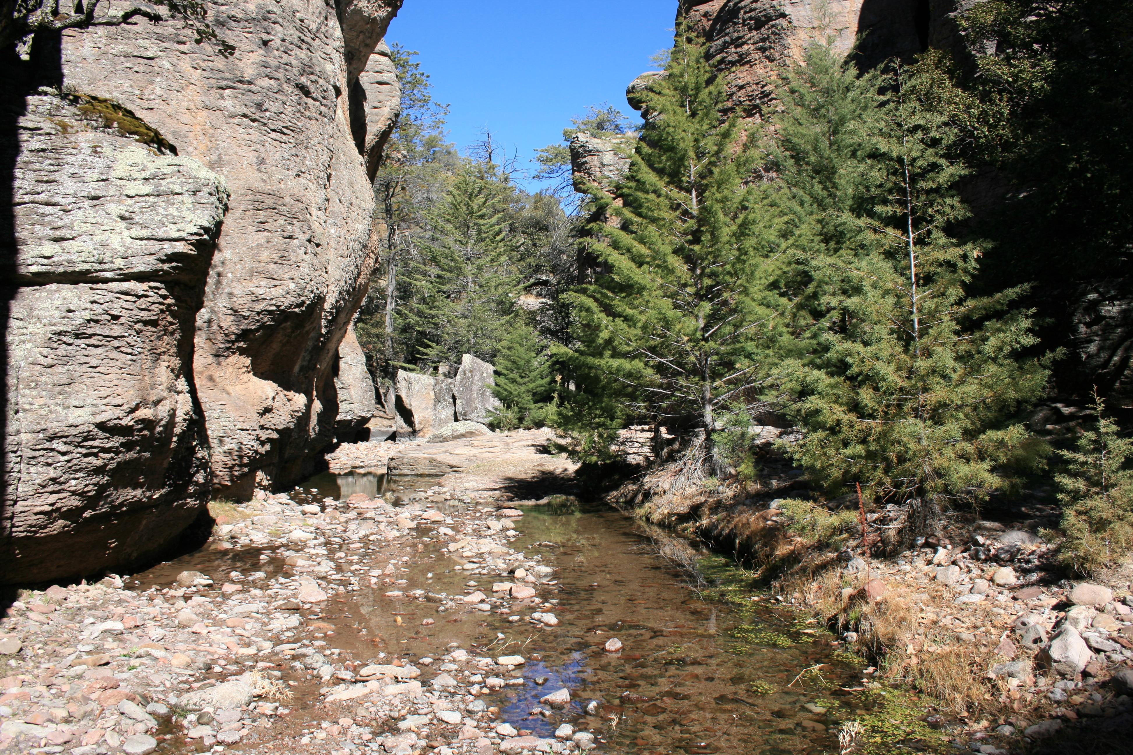 Cumbres de Majalca