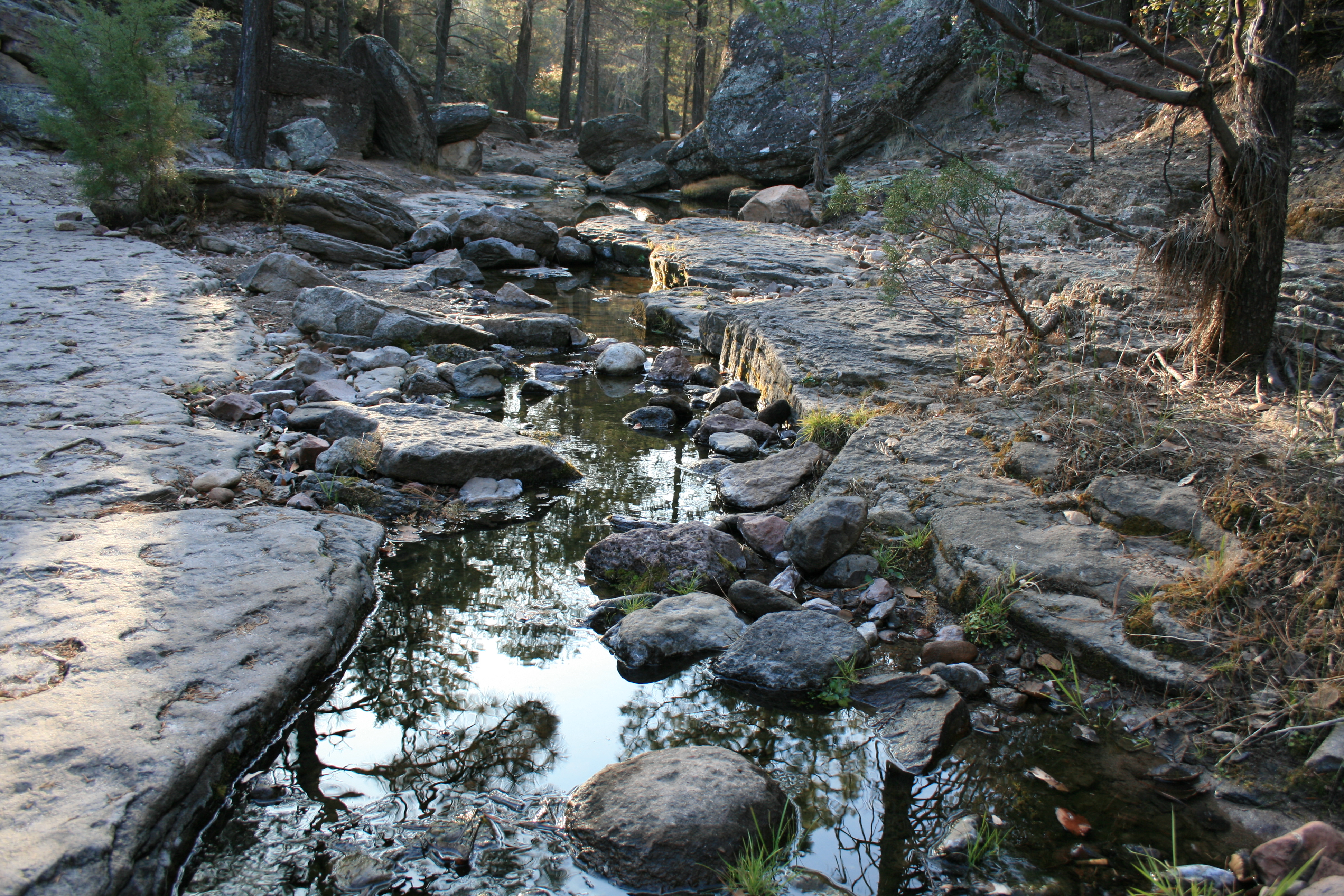 Cumbres de Majalca