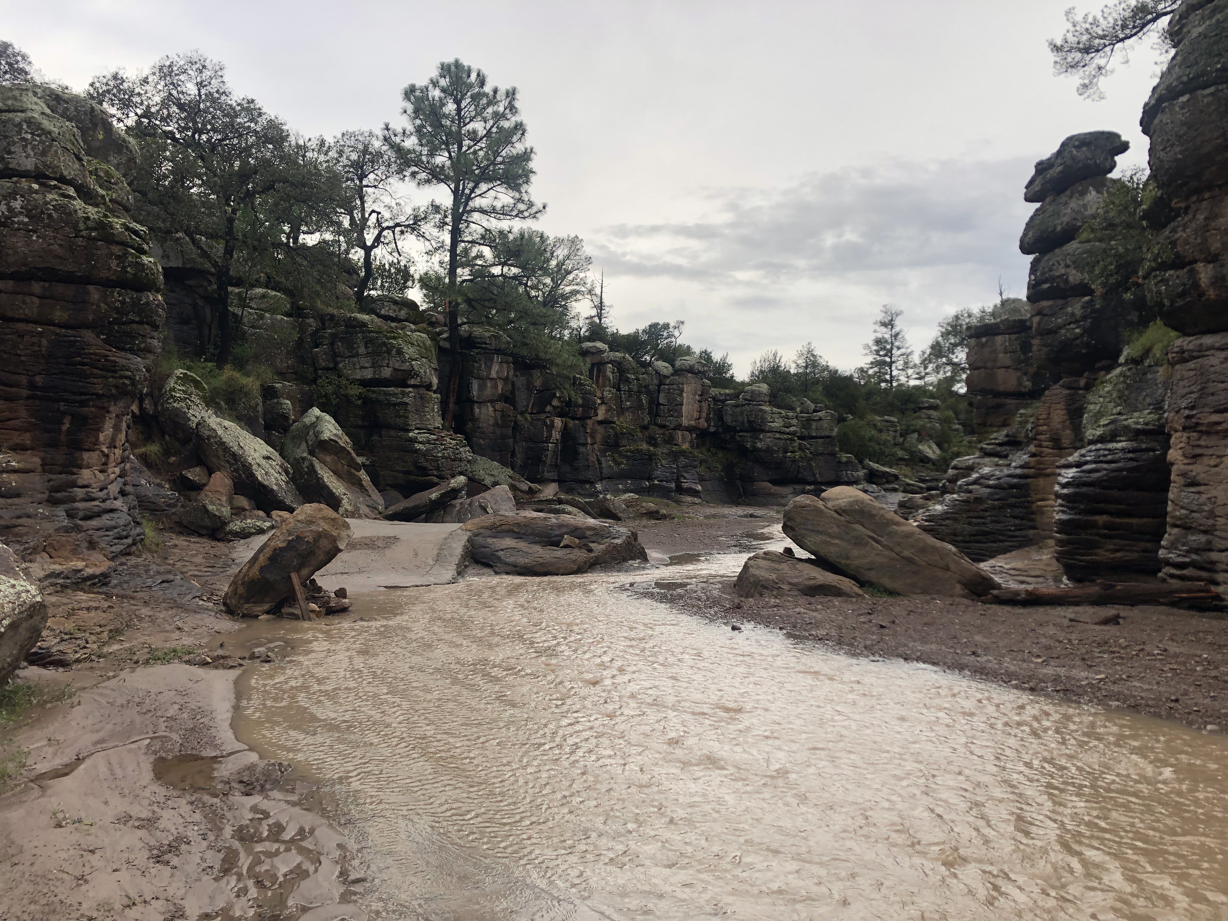 Cumbres de Majalca