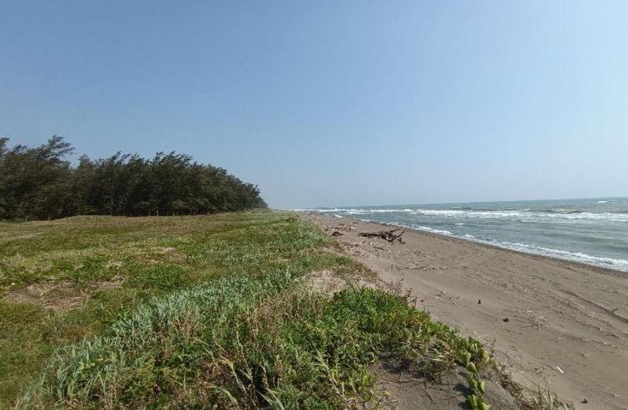 Playa Lechuguillas