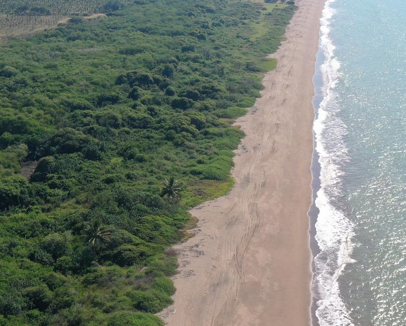 Playa Platanitos