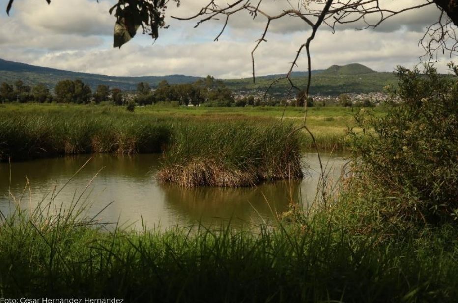 Lago Tláhuac-Xico