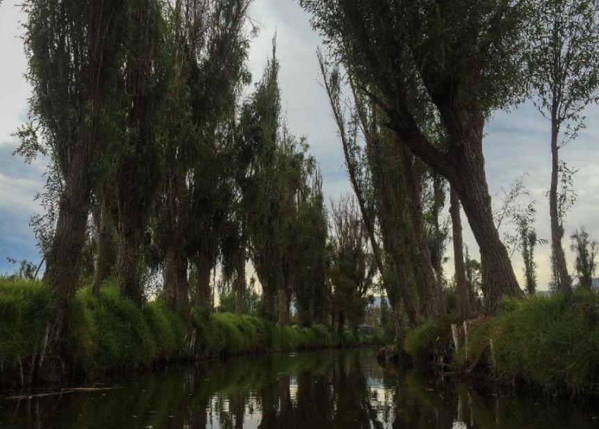 Lago Tláhuac-Xico