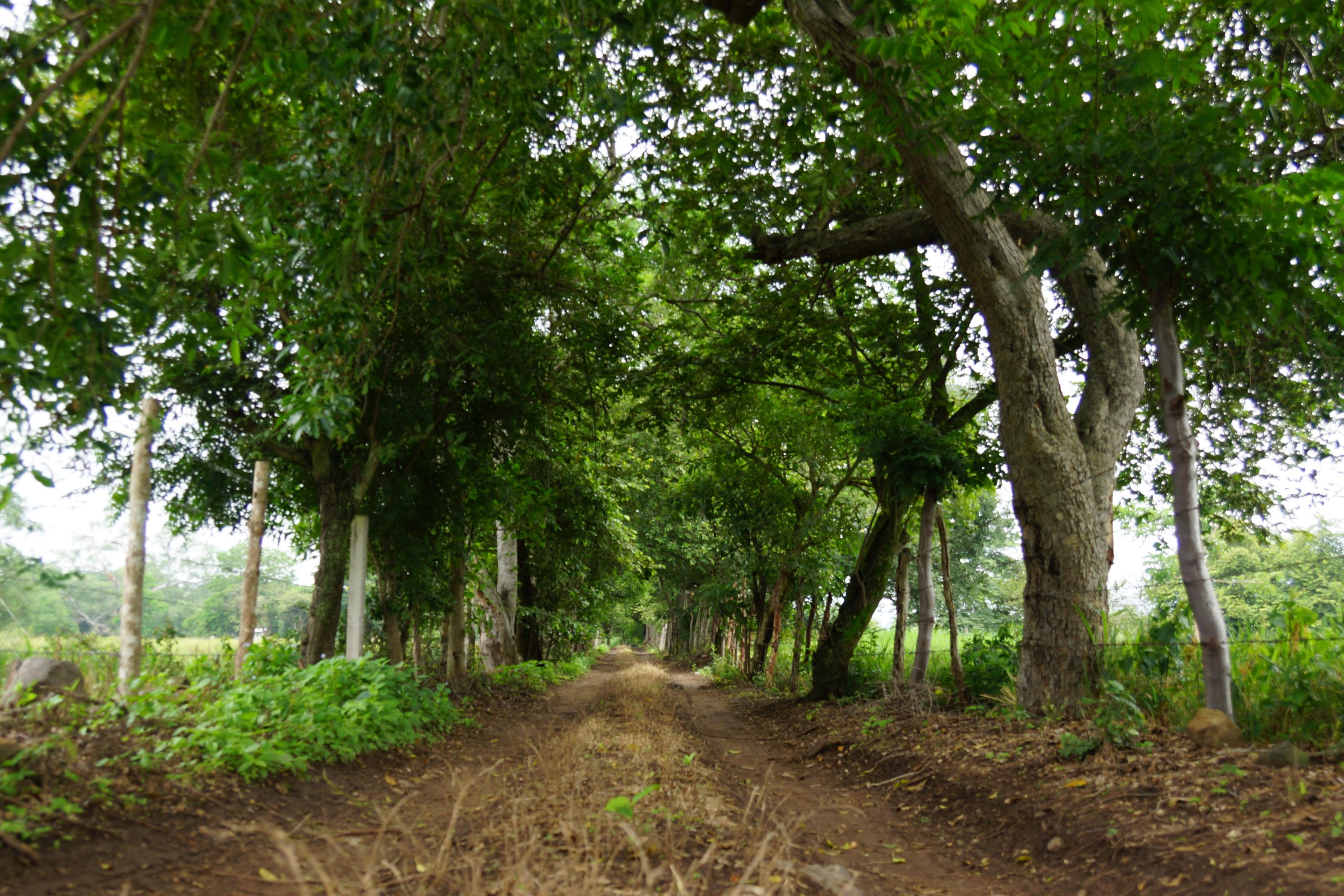 Las Huertas