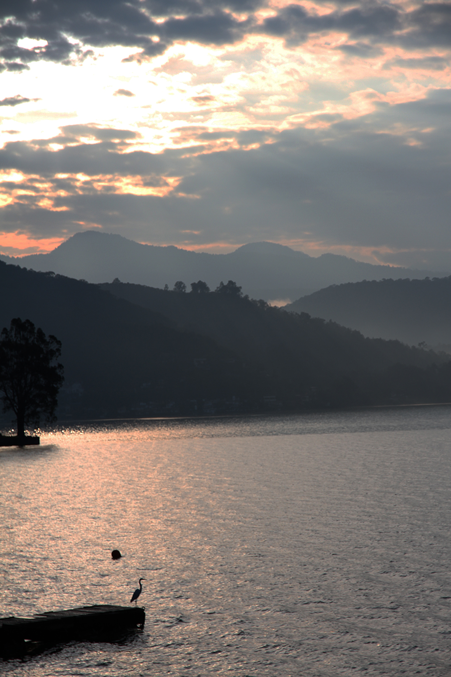 Zona Protectora Forestal los terrenos constitutivos de las cuencas de los ríos Valle de Bravo, Malacatepec, Tilostoc y Temascaltepec