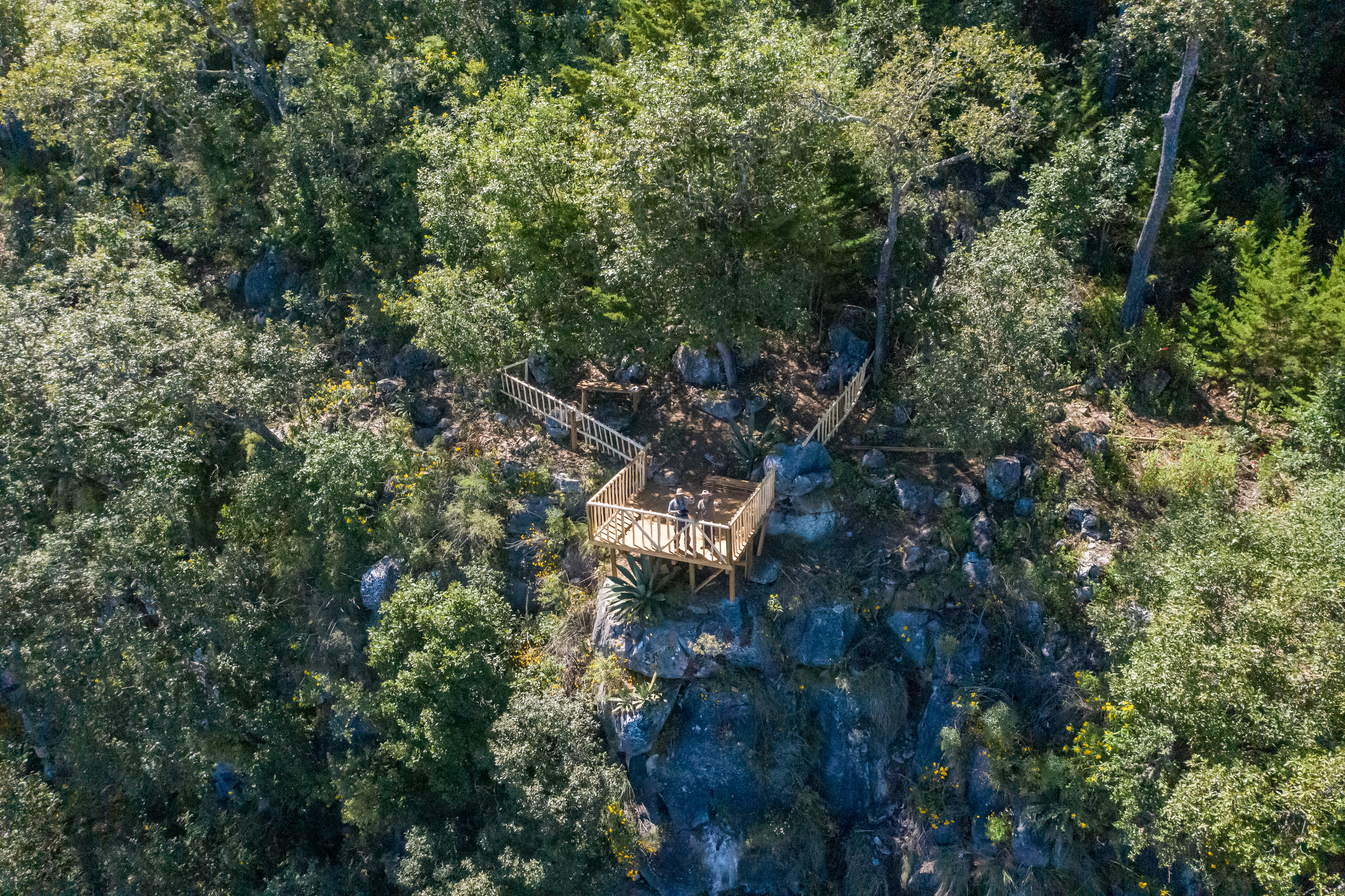 Sierra de Manantlán