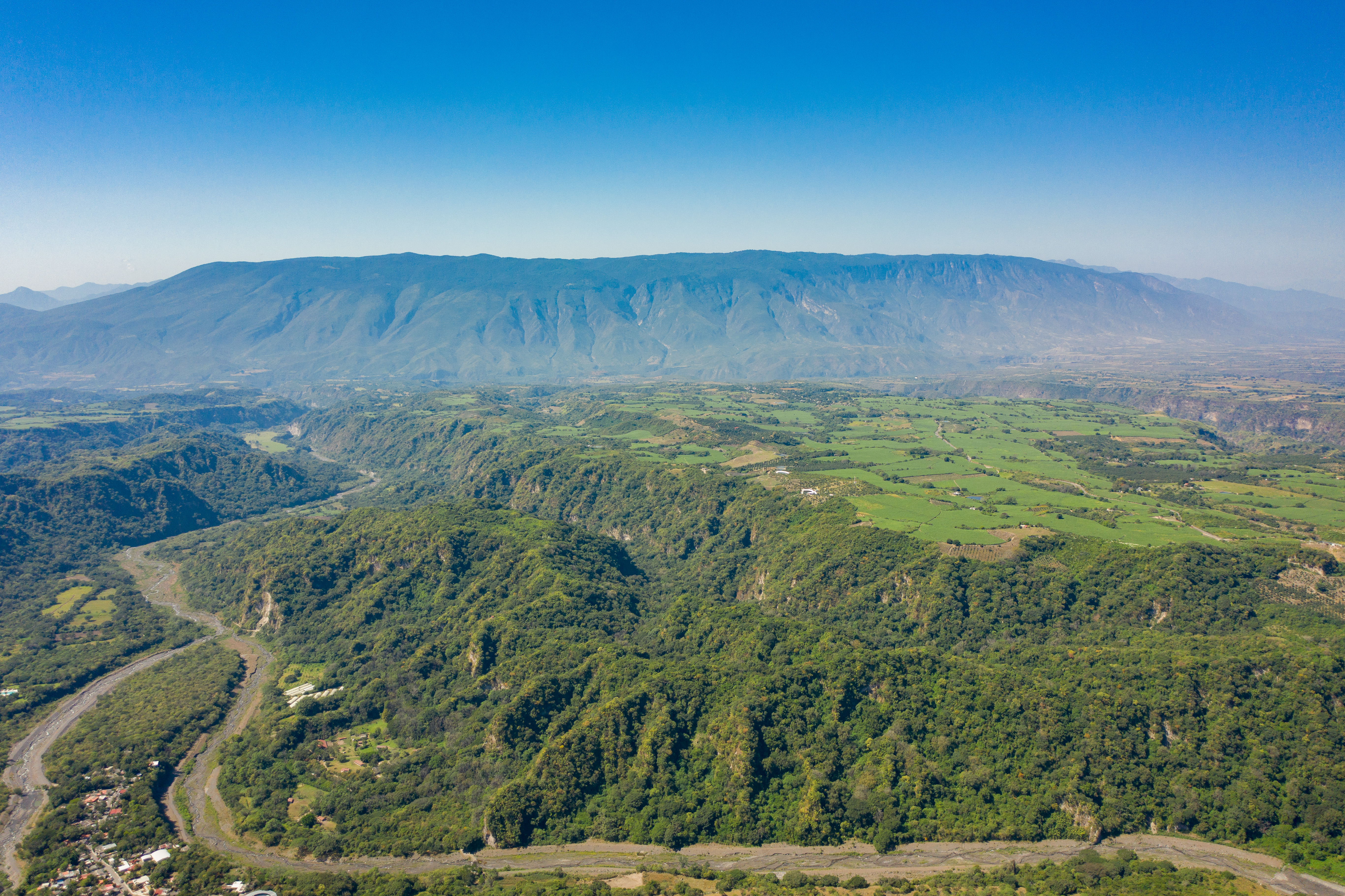Sierra de Manantlán