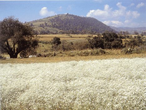 Desierto del Carmen o de Nixcongo