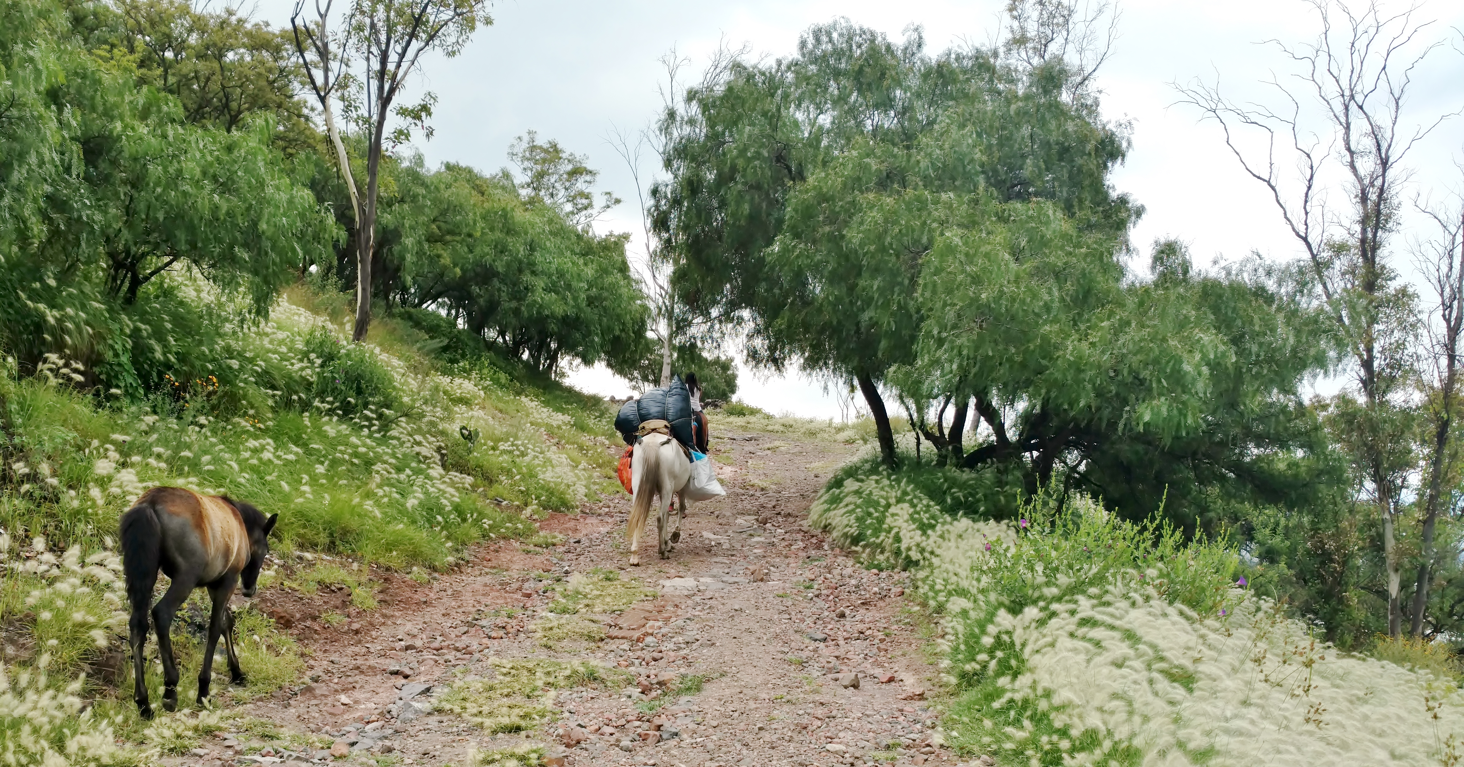 El Tepeyac
