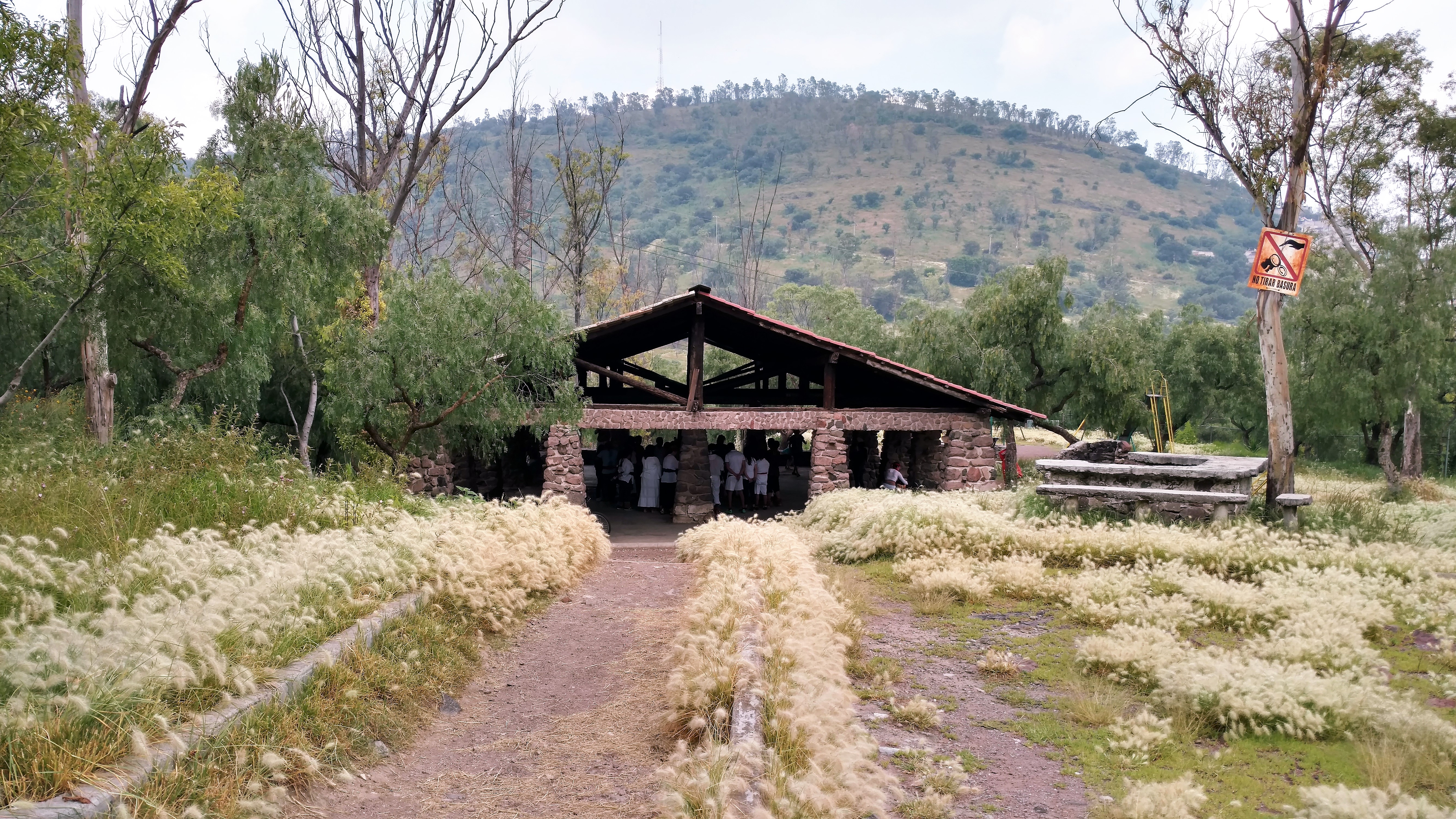 El Tepeyac