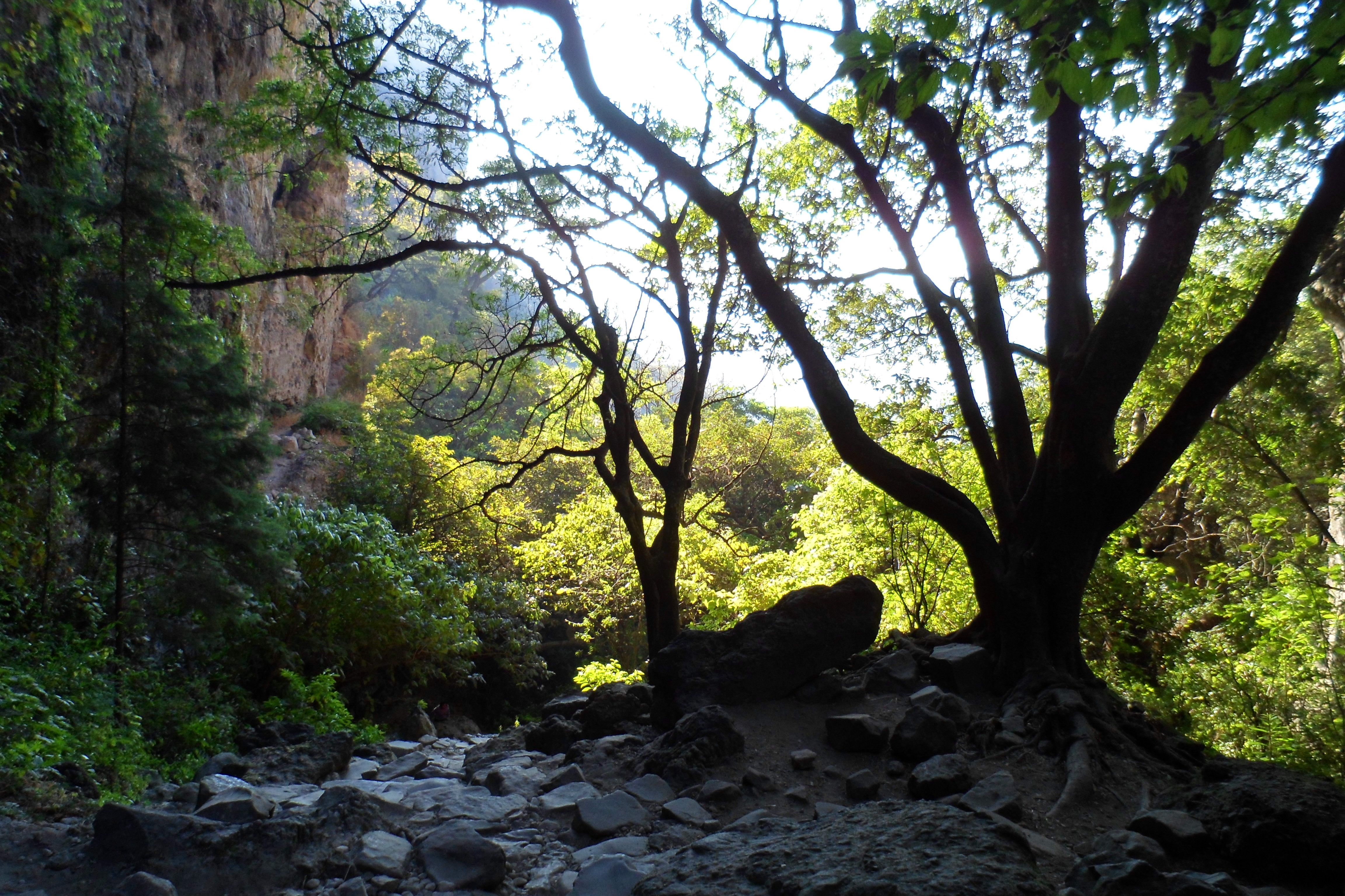 El Tepozteco