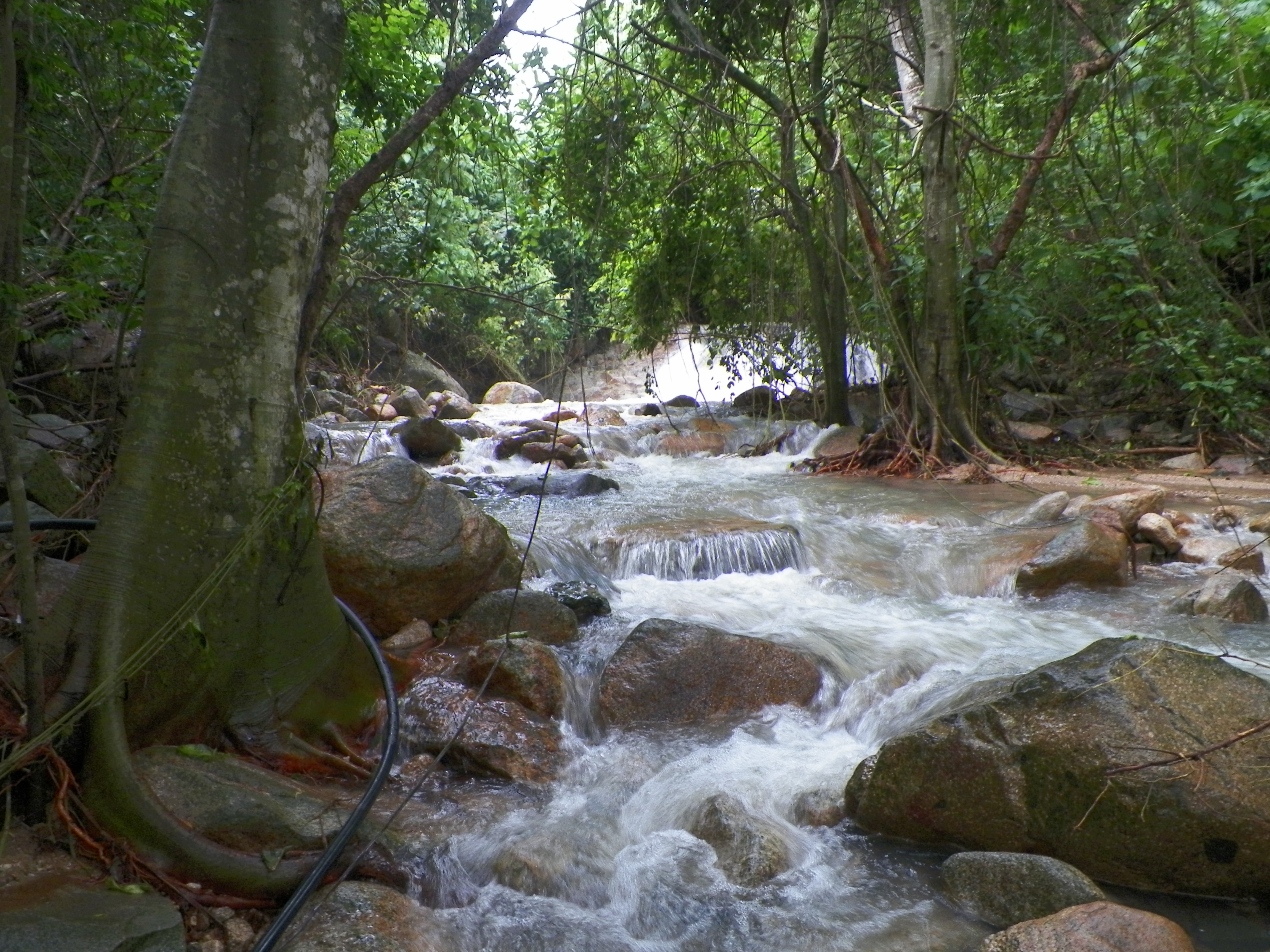 El Veladero