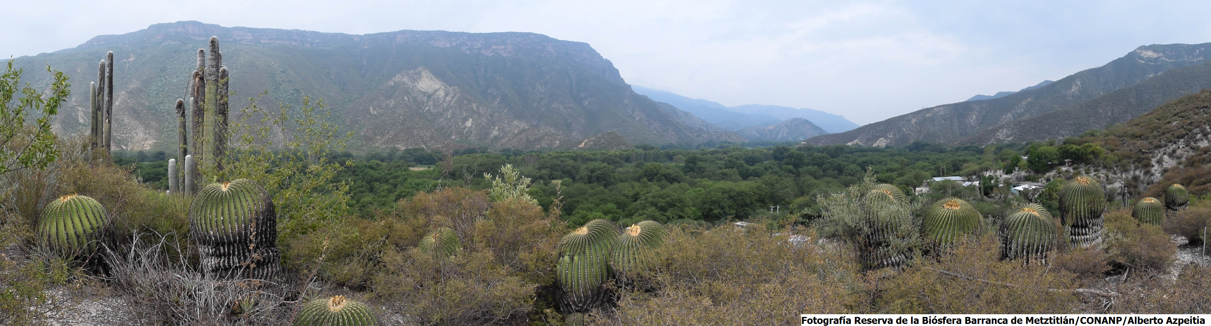 Barranca de Metztitlán