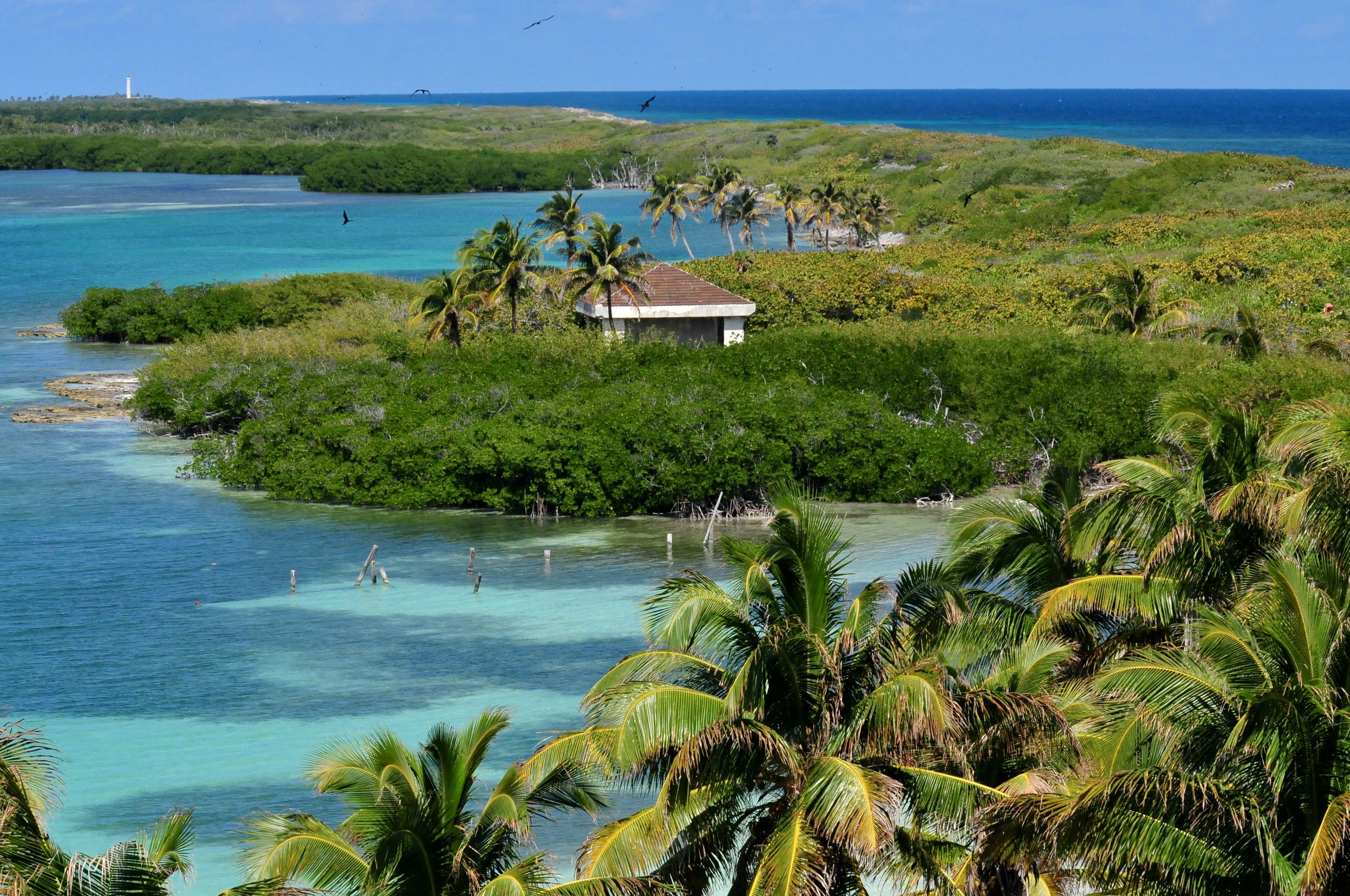 Isla Contoy