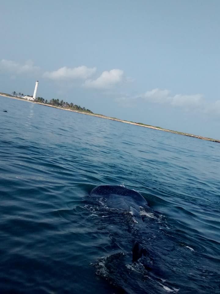 Isla Contoy