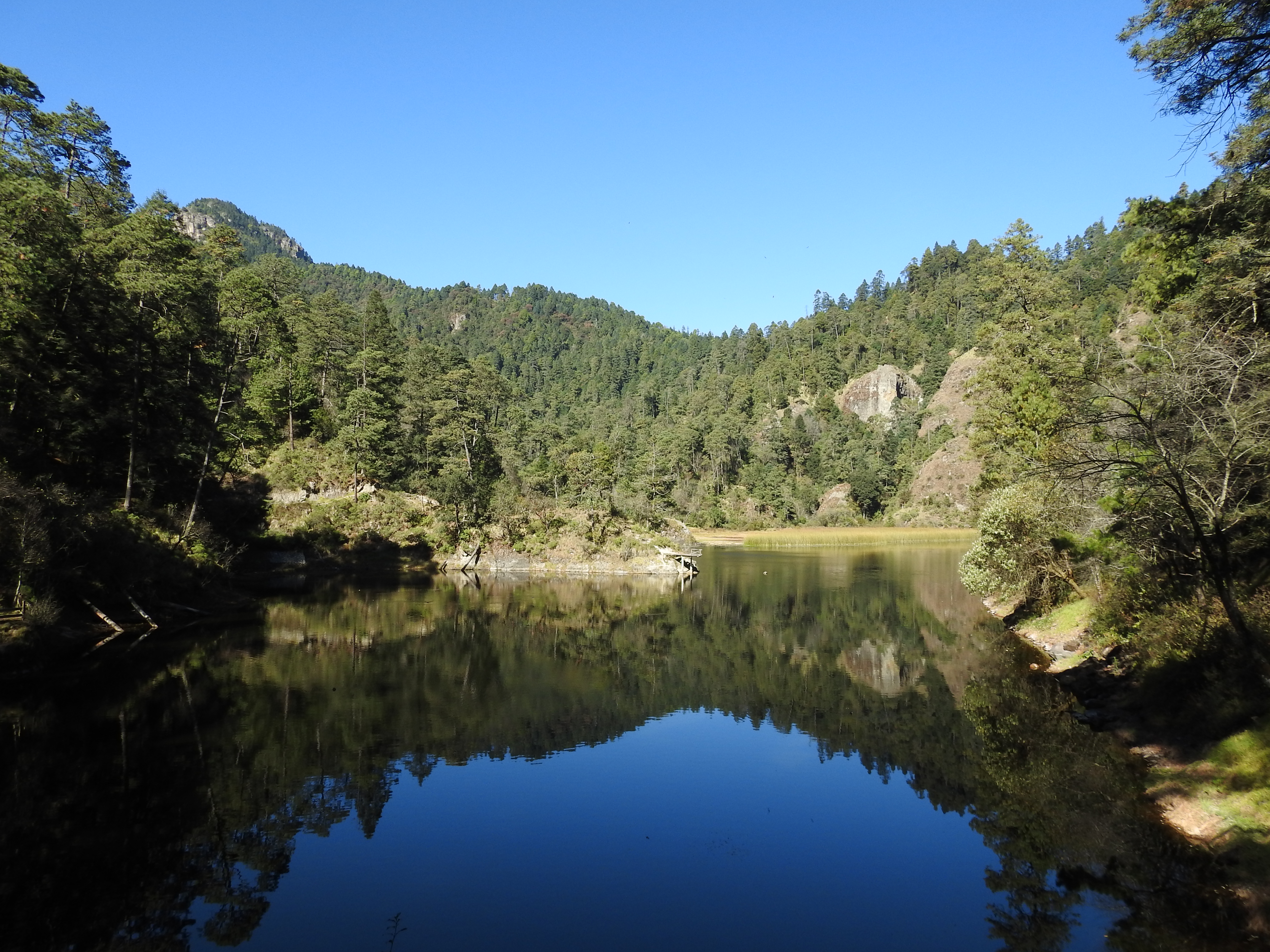 Lagunas de Zempoala