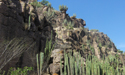 Sierra Gorda de Guanajuato