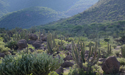 Sierra Gorda de Guanajuato