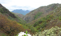 Sierra de Álamos-Río Cuchujaqui